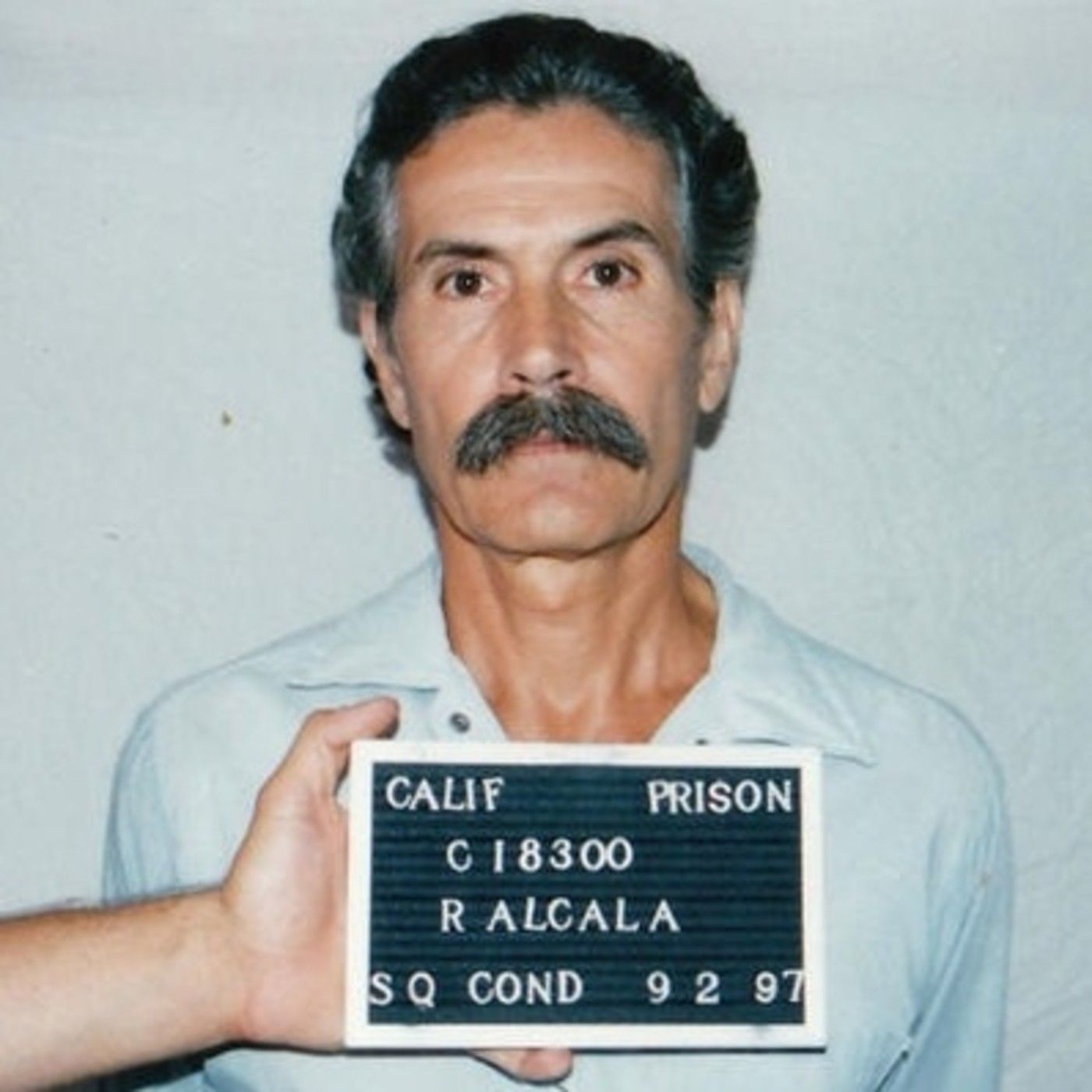 Signos De Una Infancia Criminal
