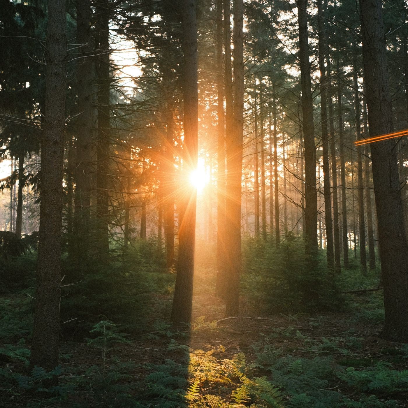 Como superar el desempleo?