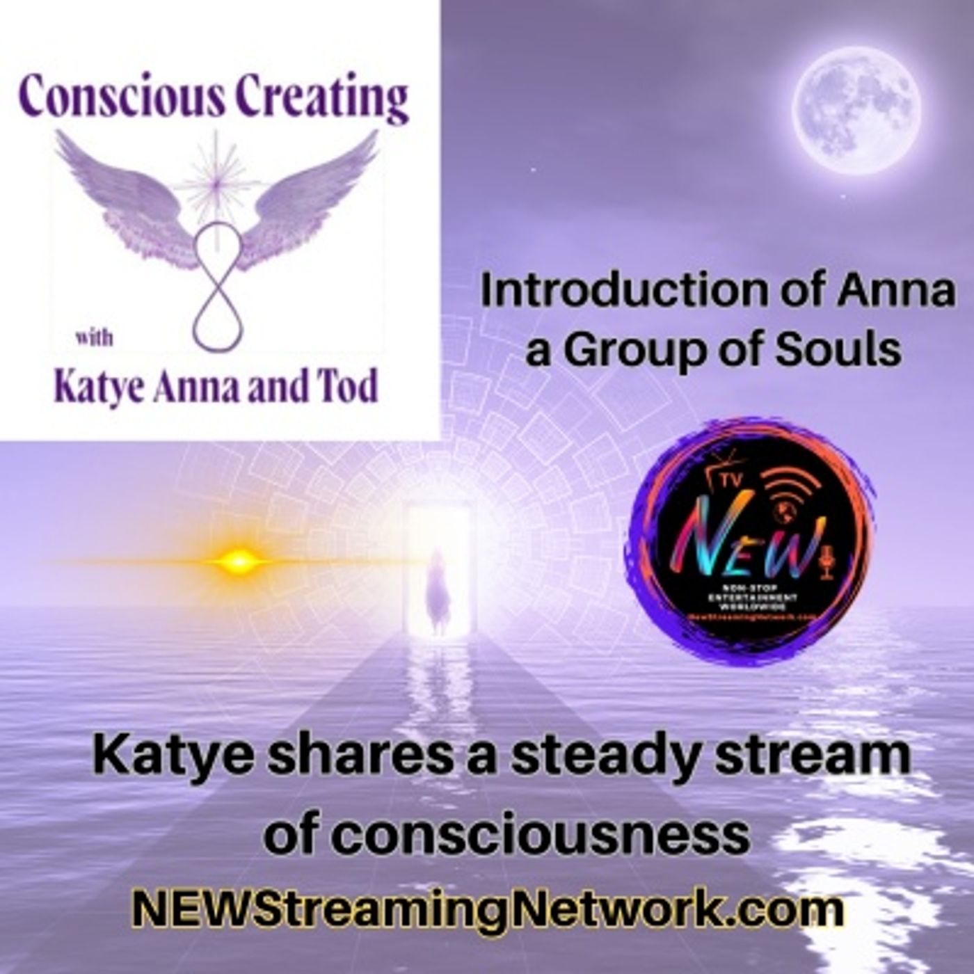 Introduction of Anna A Group of Souls with Katya Anna and Tod episode artwork