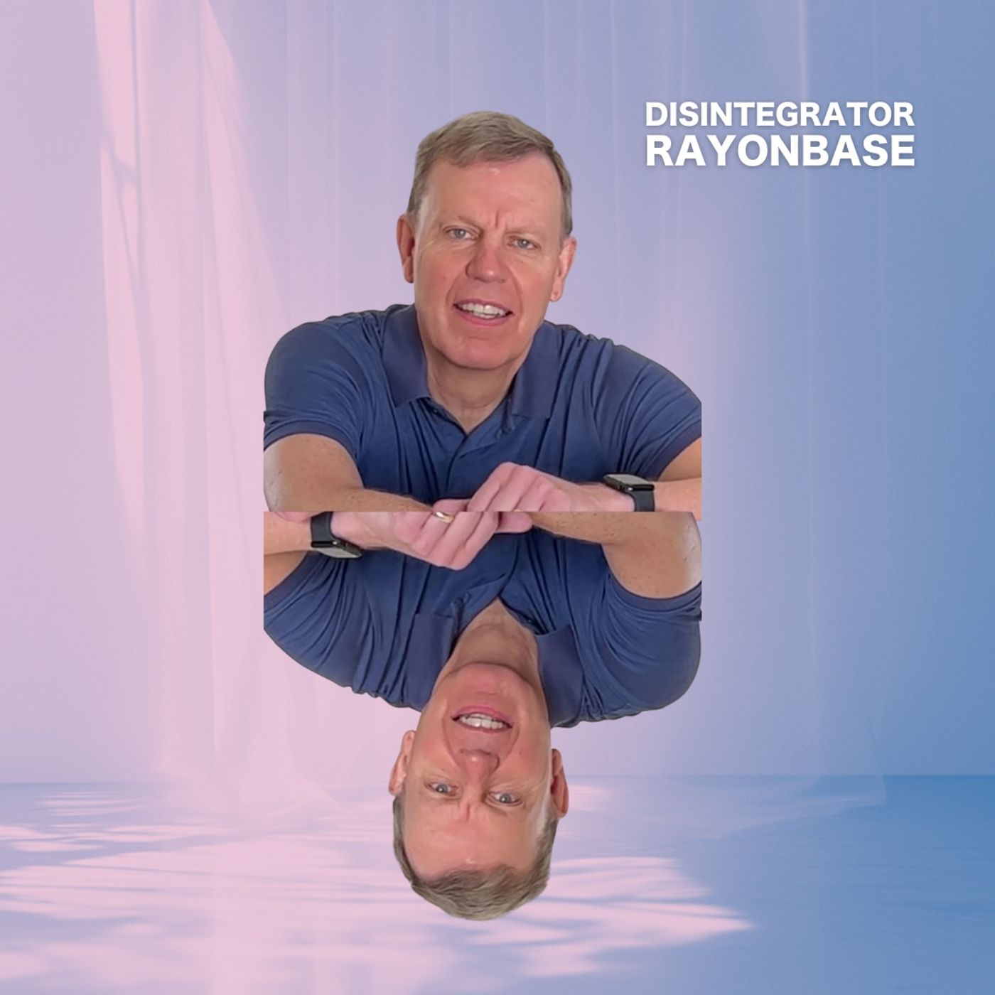 Disintegrator