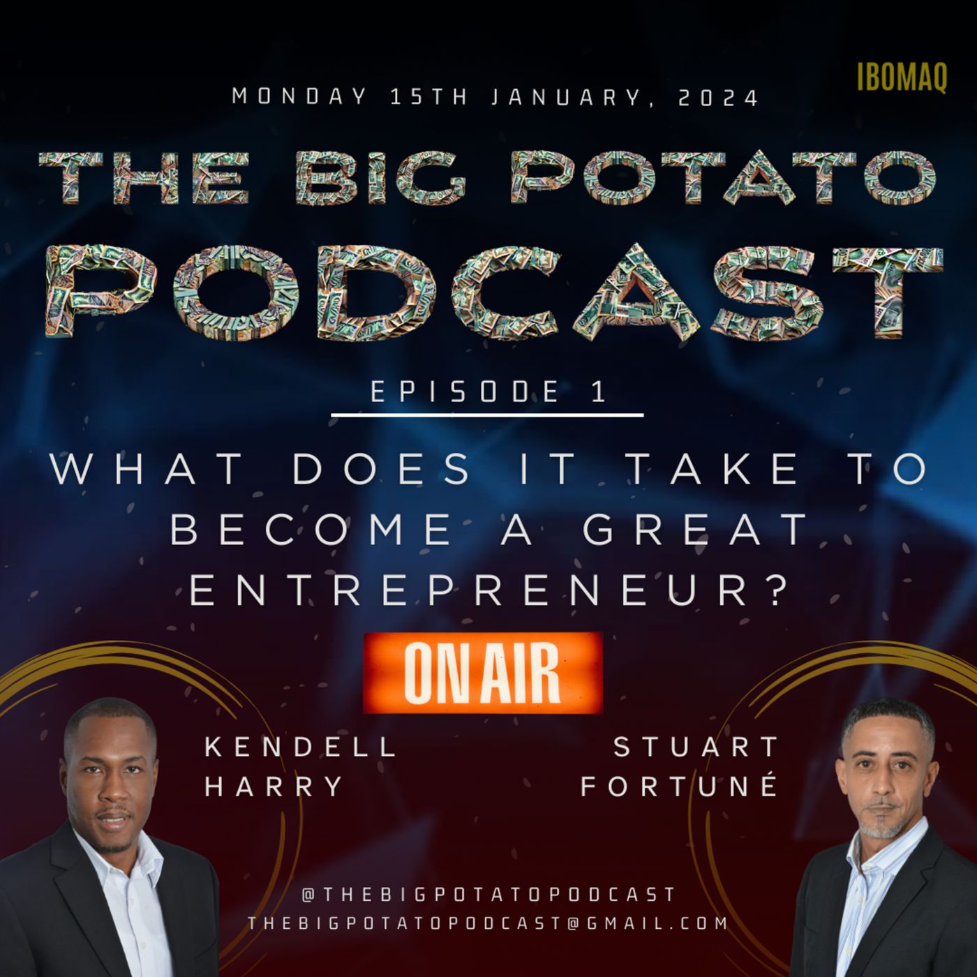 Episode 1: What does it take to become a successful entrepreneur? episode artwork