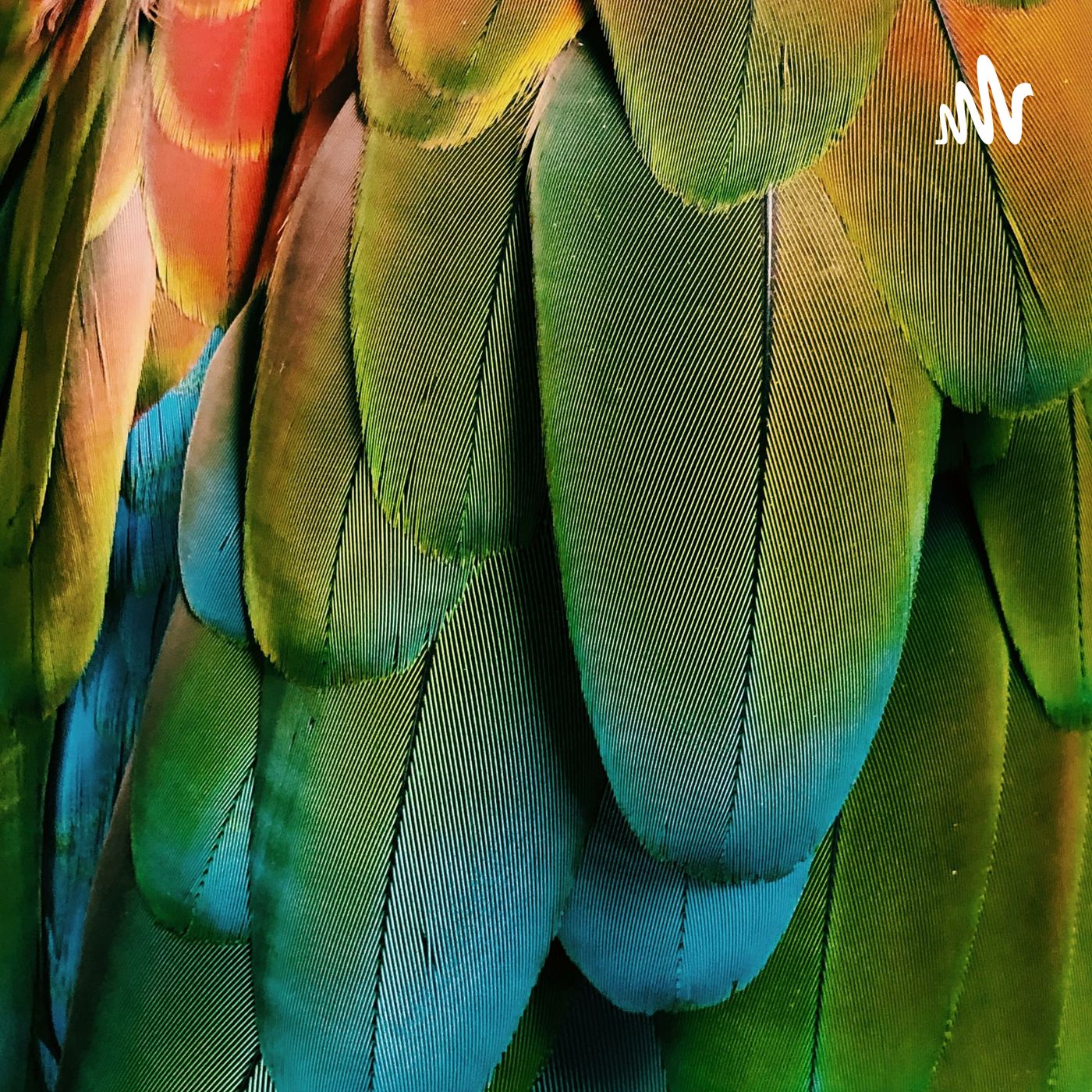 不要那么相信自己的回忆