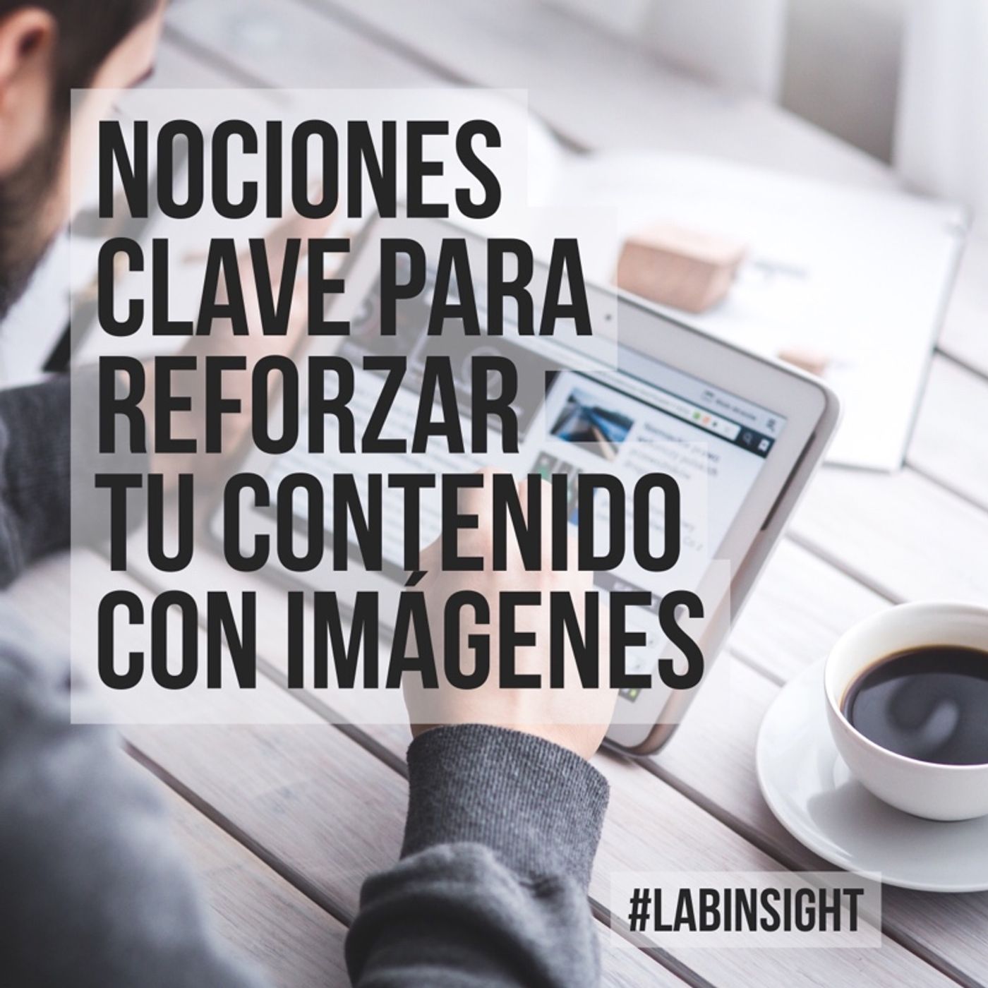 LabInsight
