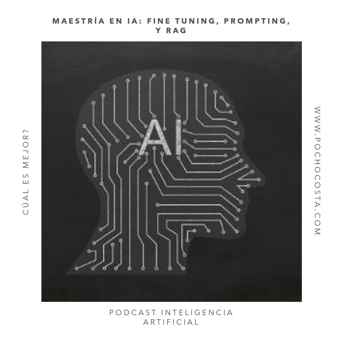 Dominando la IA: Fine Tuning, Prompting y RAG. ¿Cuál es mejor?