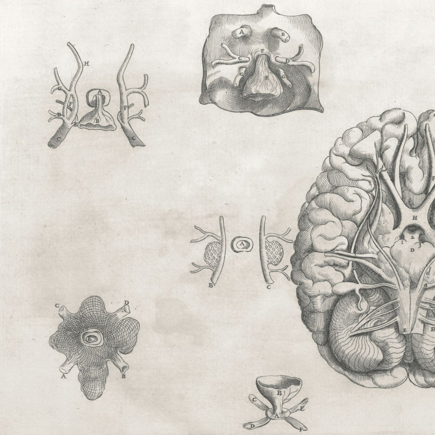 Anatomia dell'Anima podcast artwork