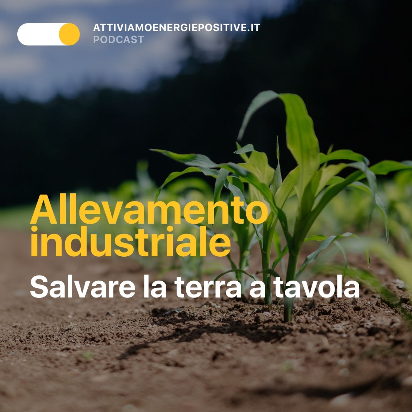 Attiviamo Energie Positive
