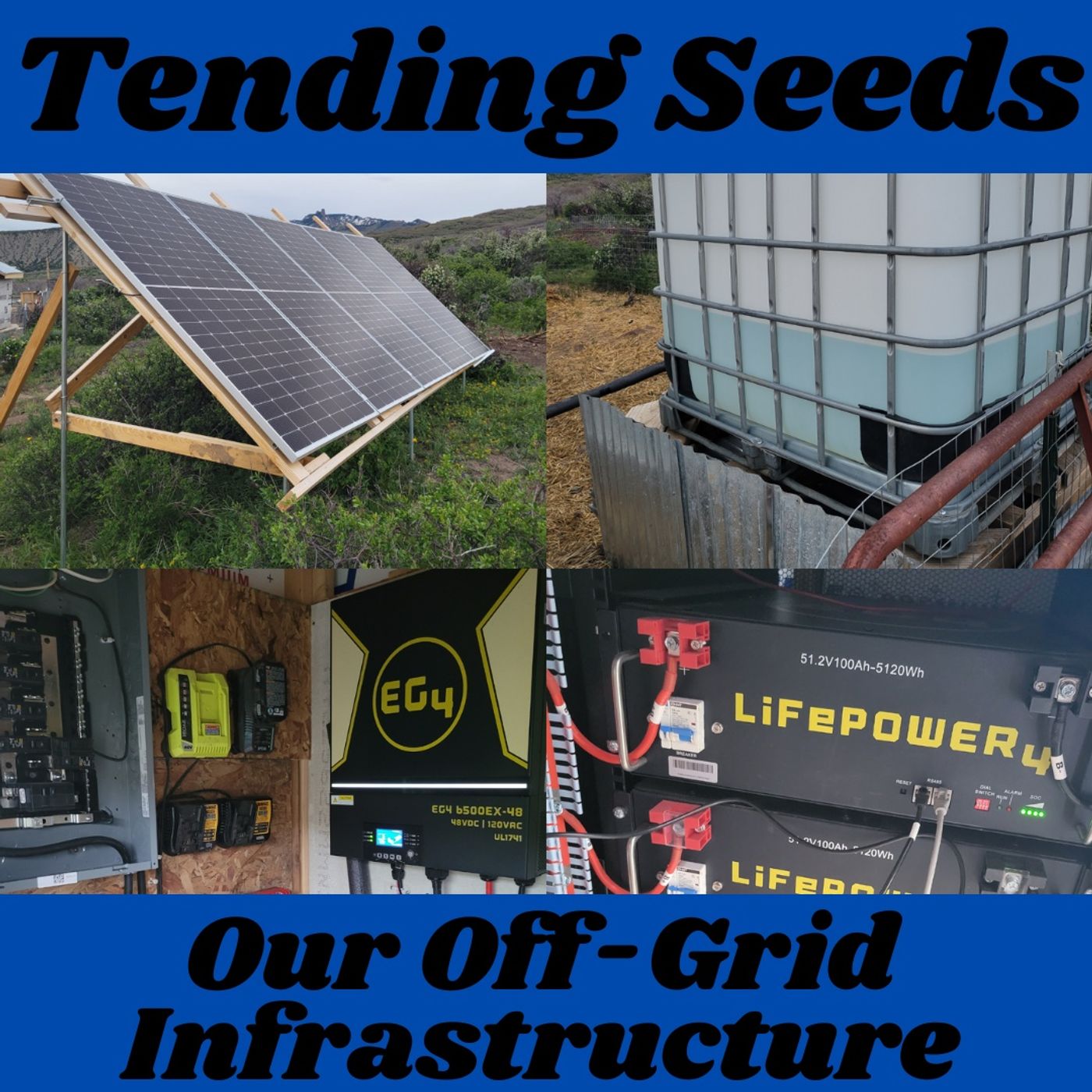 Tending Seeds: Adventures in Gardening