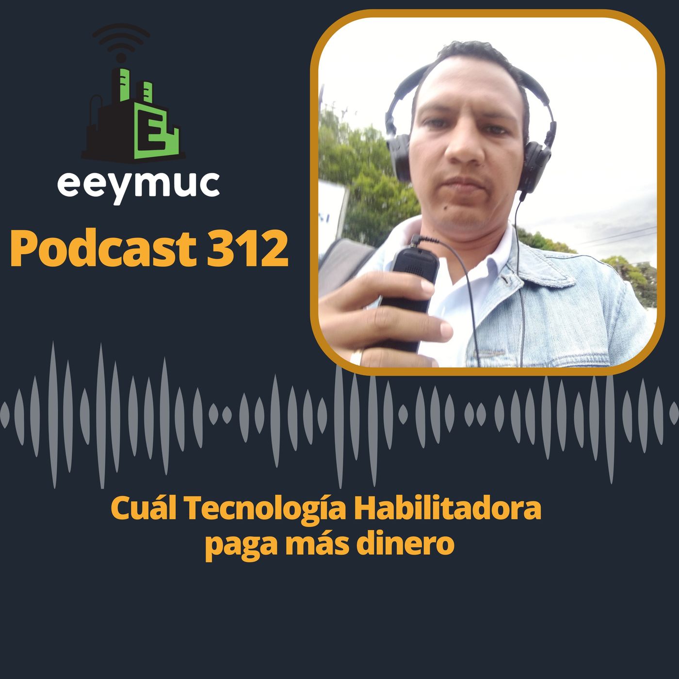 312: Cuál Tecnología Habilitadora paga más dinero episode artwork