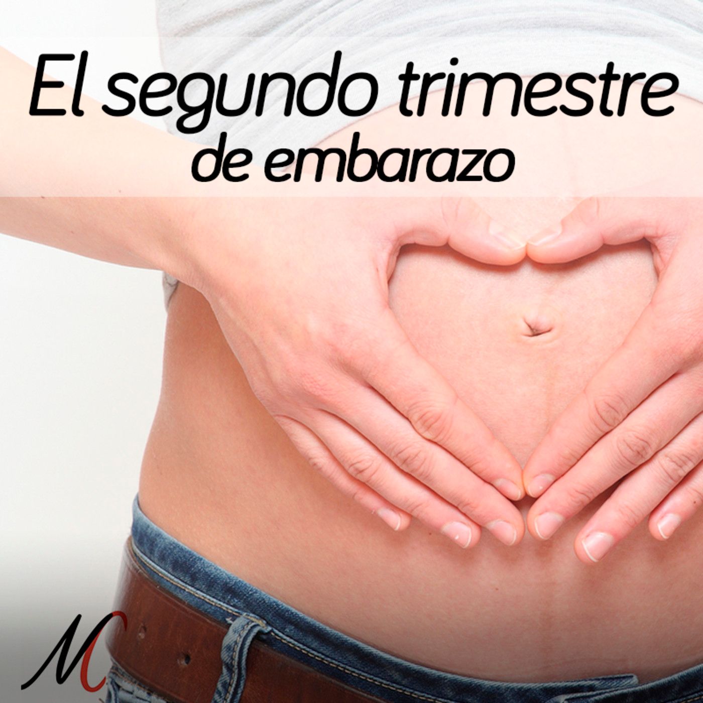 Portada de Nadie como mamá