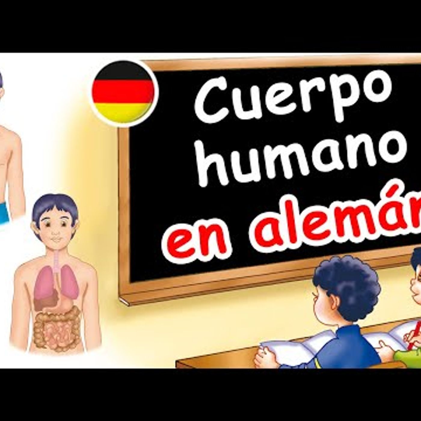09. 🇩🇪  El cuerpo humano ► en ALEMÁN 💛