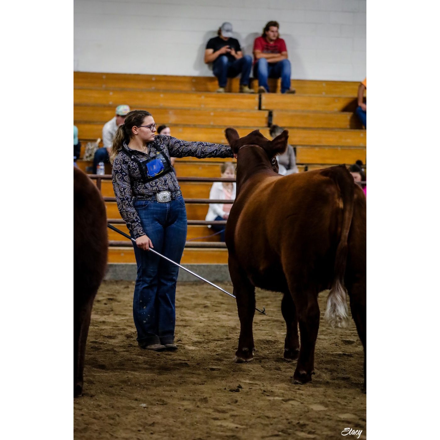 RFD Livestock Report 4-15-25 Isabella Bunting IFB Actively Engaged Student of the Month
