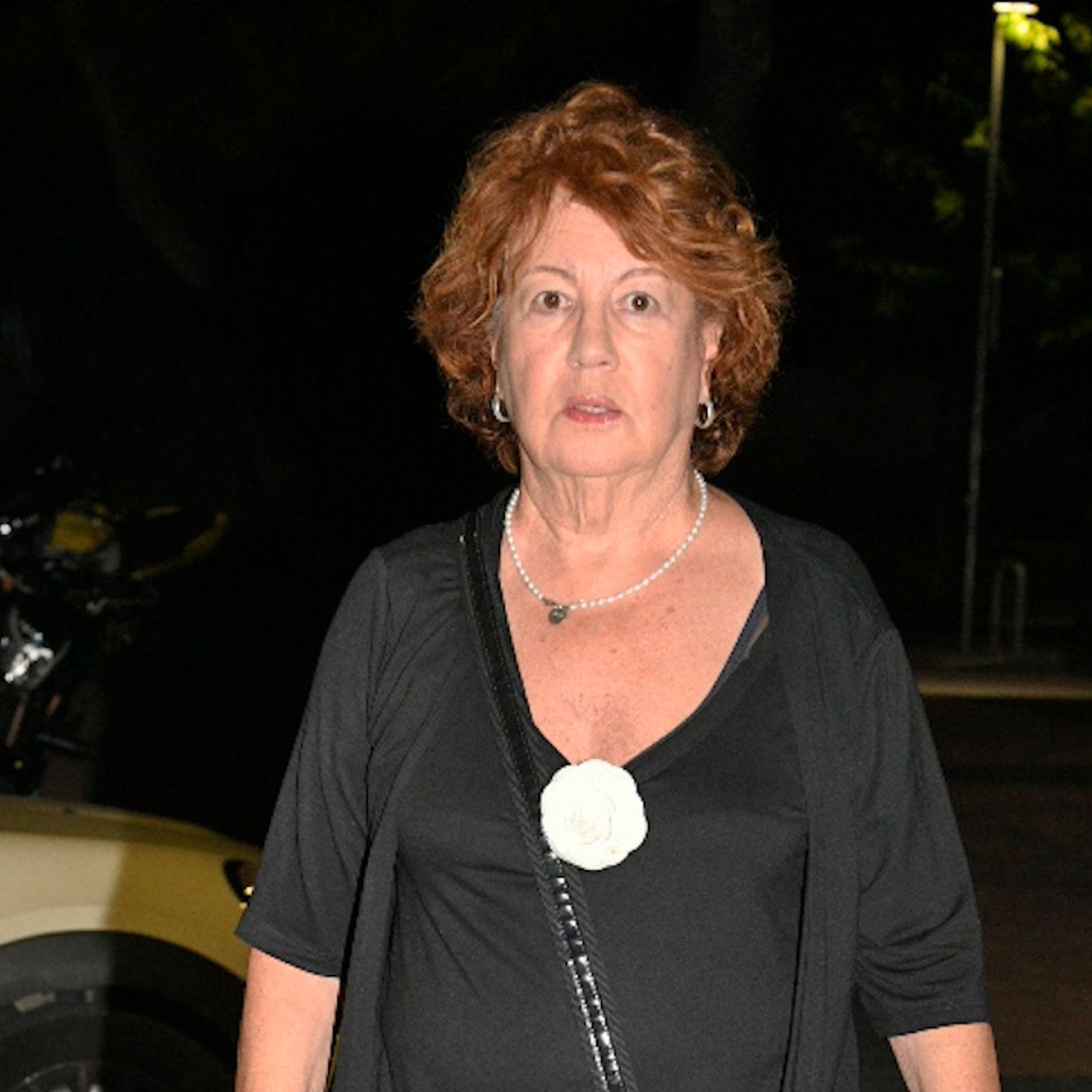 La República de los Tonnntos: El análisis sesudo de las elecciones de Rosa Villacastín