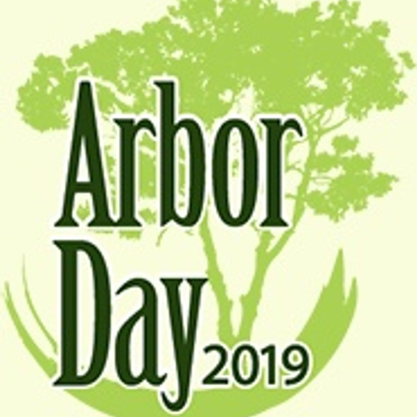 The Cindy Paulos Show