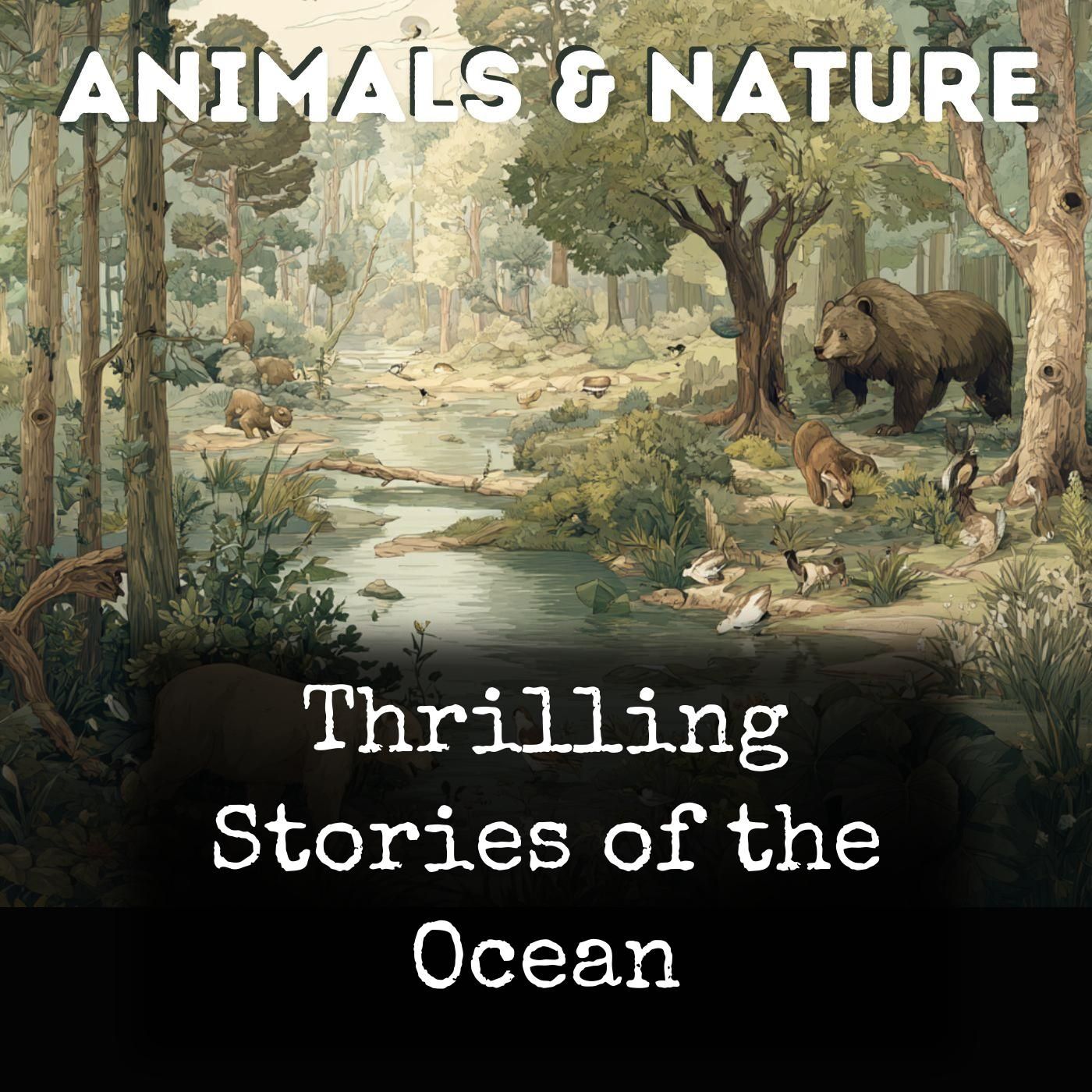 Thrilling Stories of the Ocean cover art