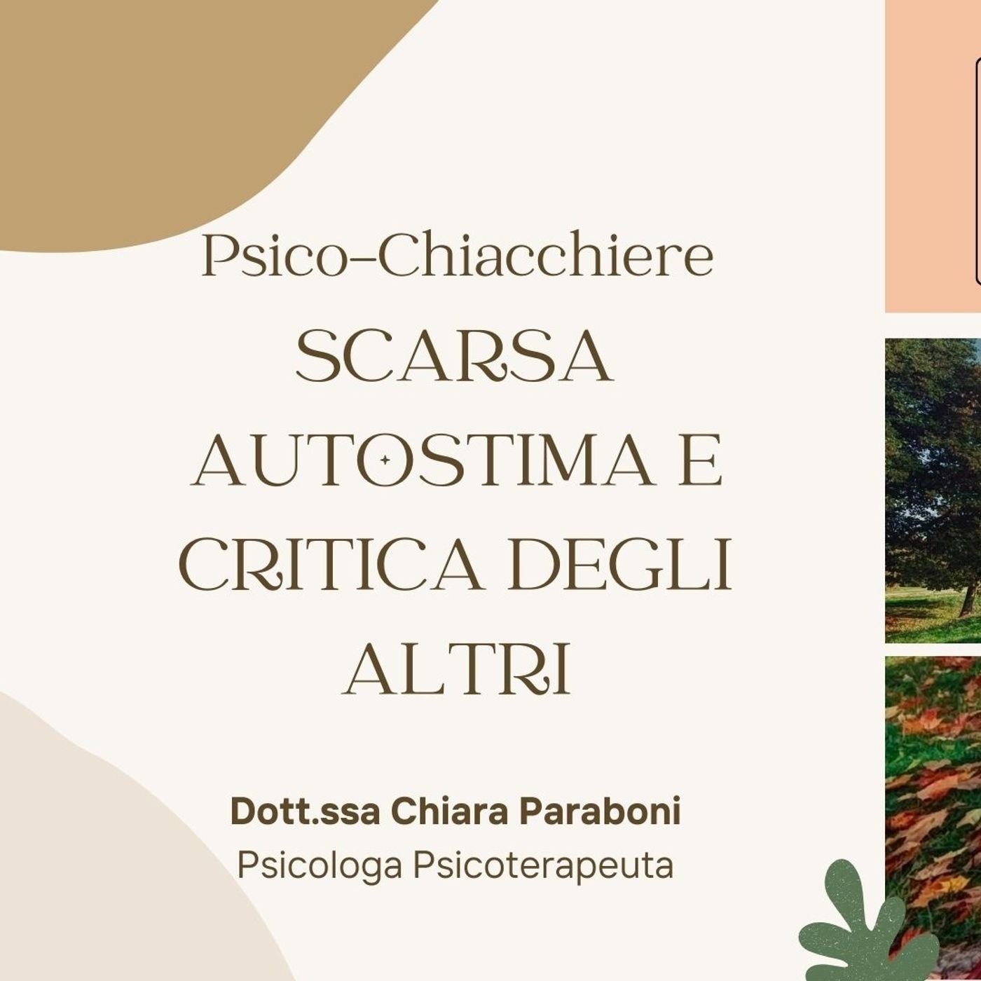 Stagione 2024-2025