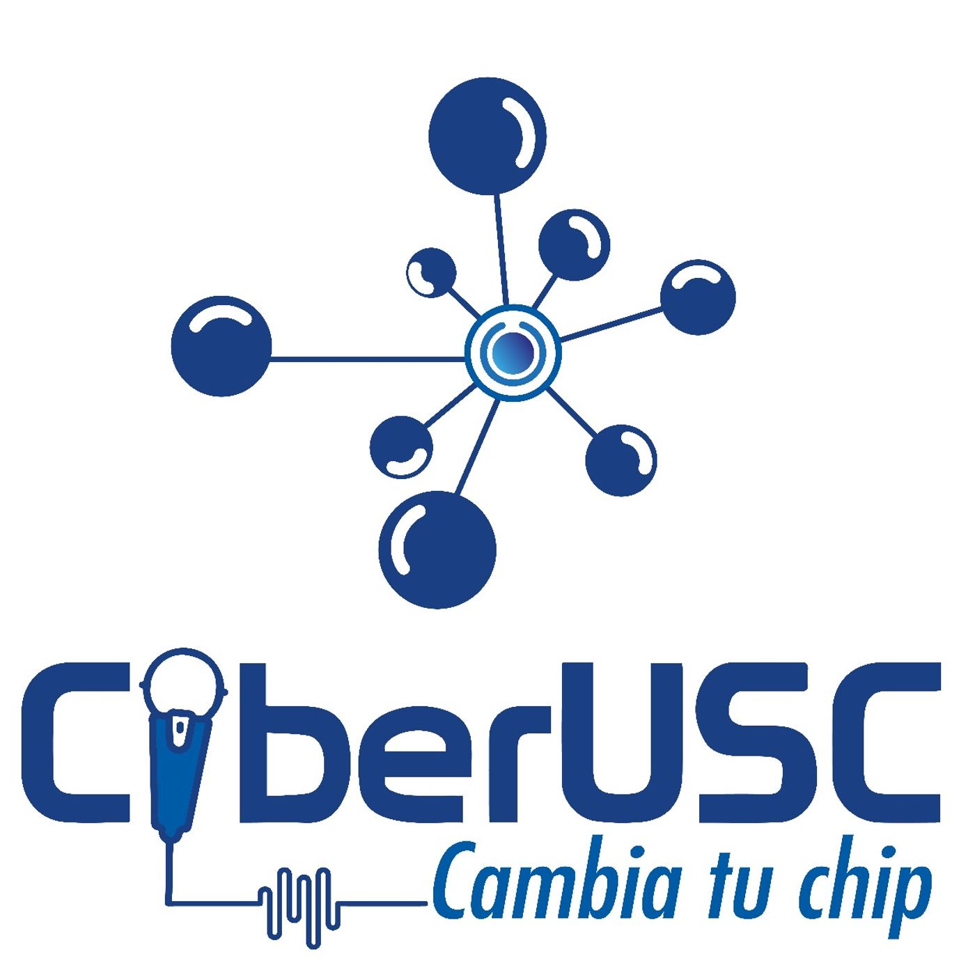 Ciber Usc