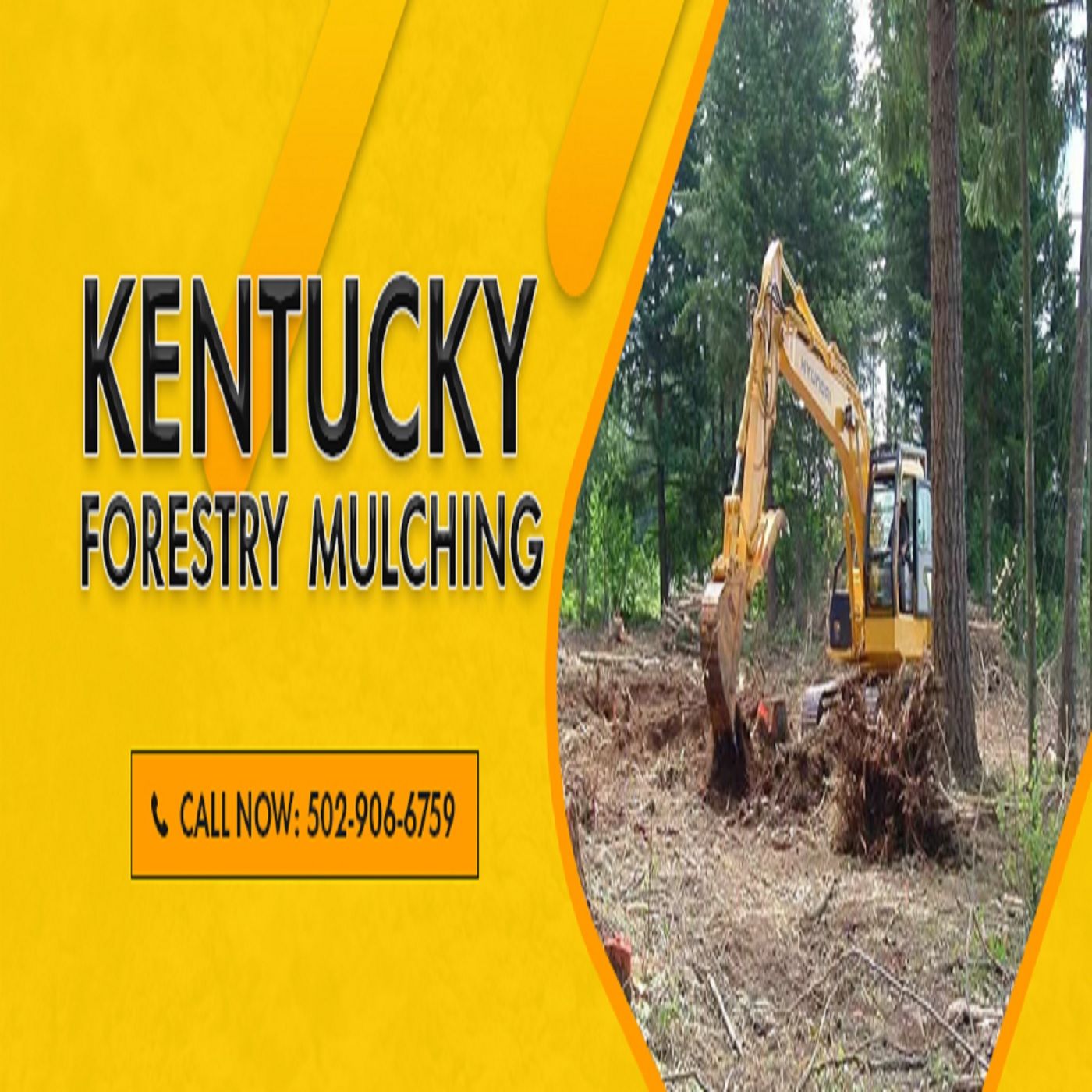 Best Land Clearing Services in Kentucky