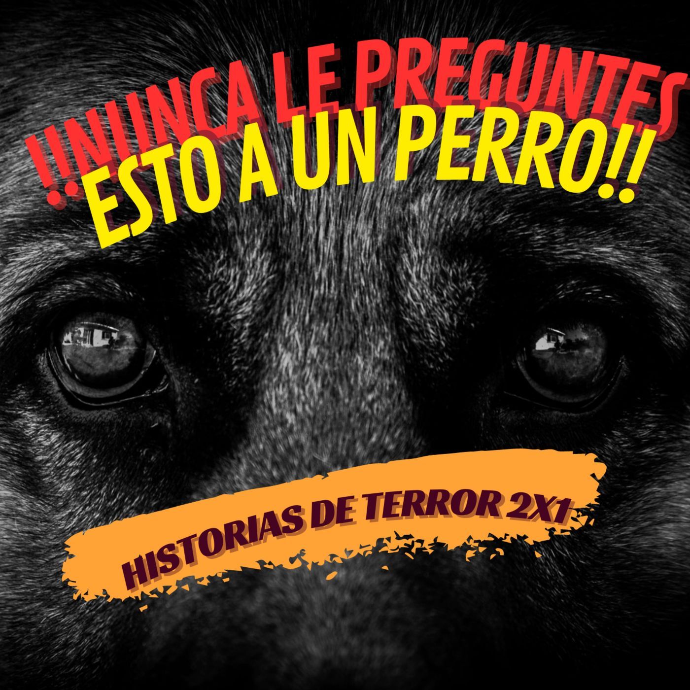 NUNCA LE PREGUNTES ESTO A UN PERRO