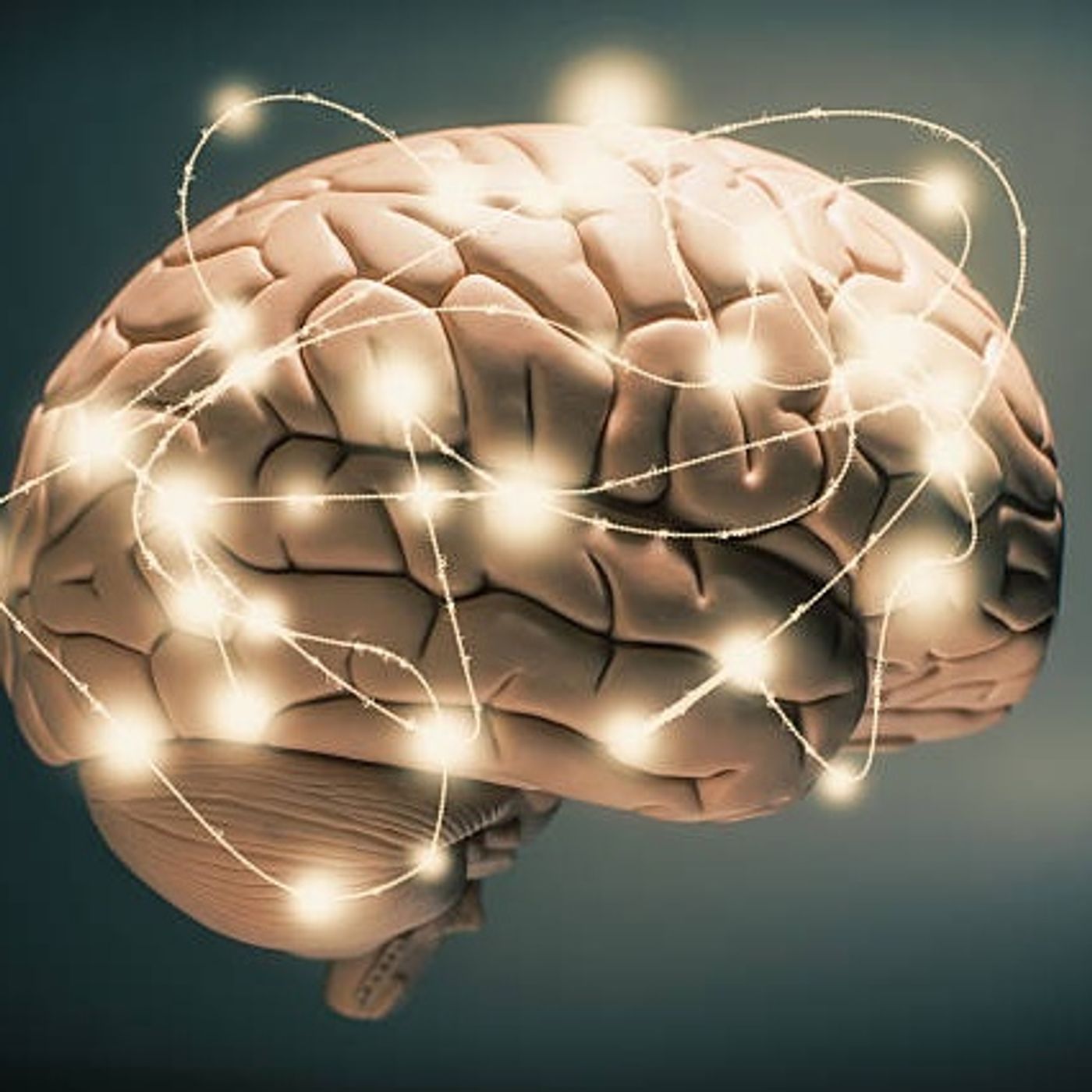 La Ciencia | El cerebro de la memoria y la sabiduría episode artwork