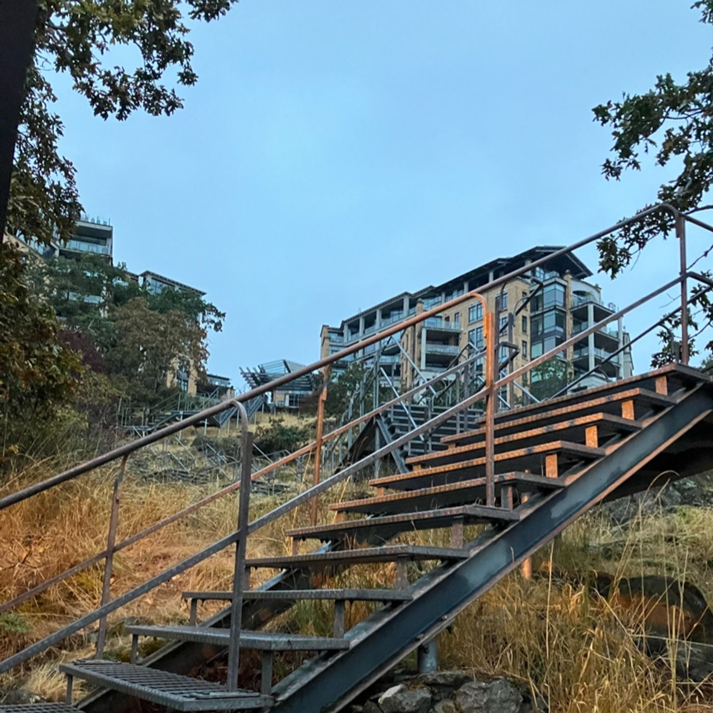Seagulls to the steel stairs