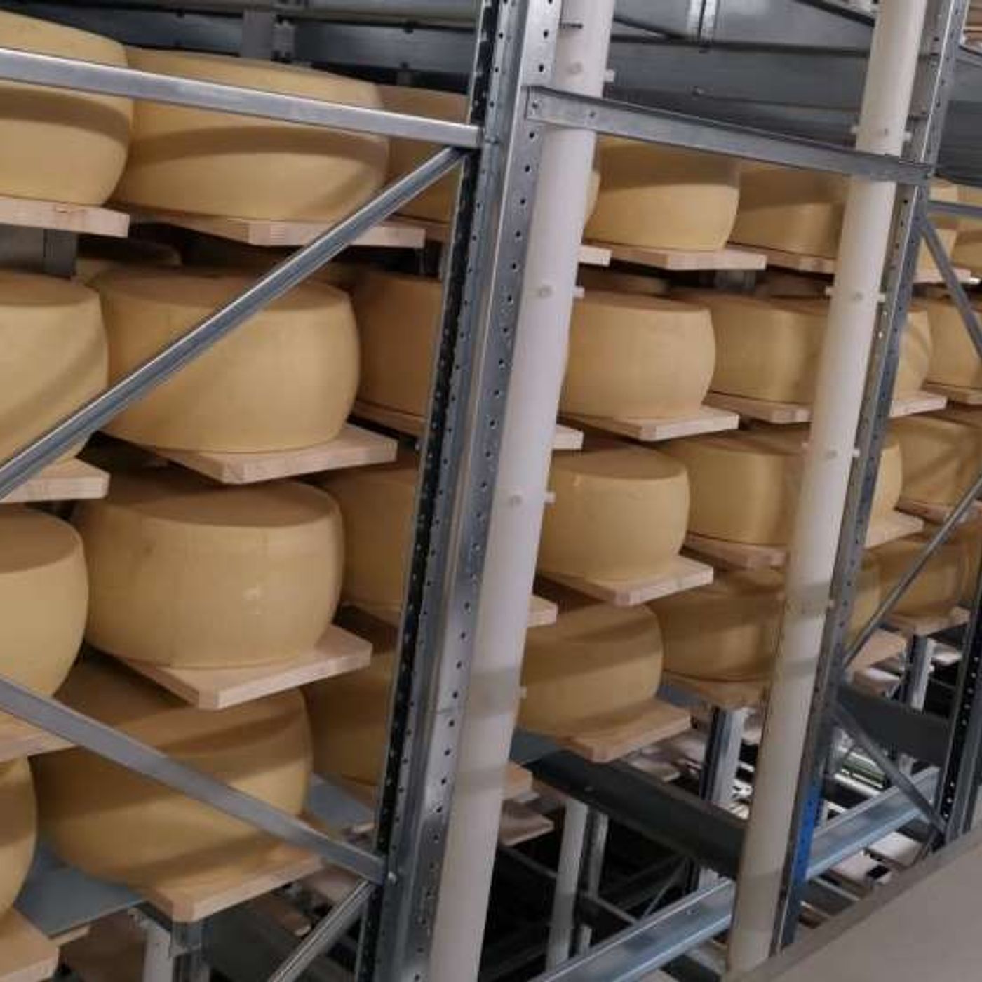 La Corte d’Appello blinda il termine Grana, ma “Brazzale non ha causato danno al Consorzio”