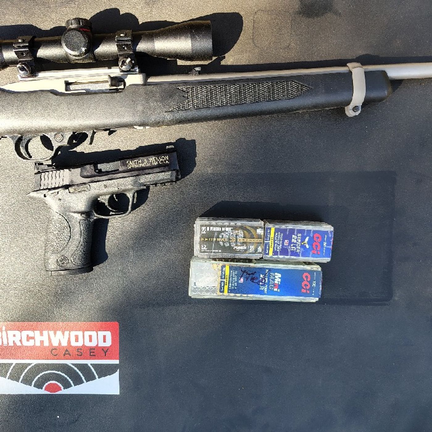 22lr For Defense Terminal Performance - C.C.I. Mini Mag, Stinger, & Federal Punch episode artwork