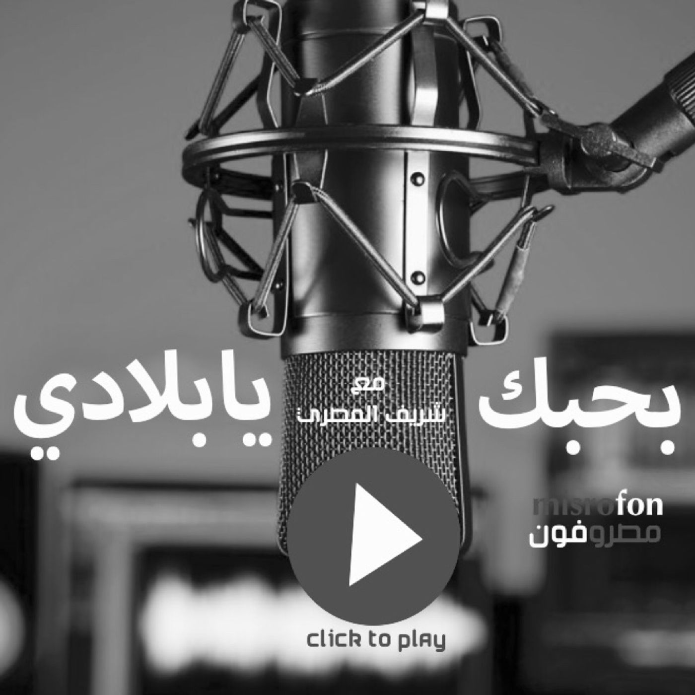 Sherif Al Misry's Talk Show