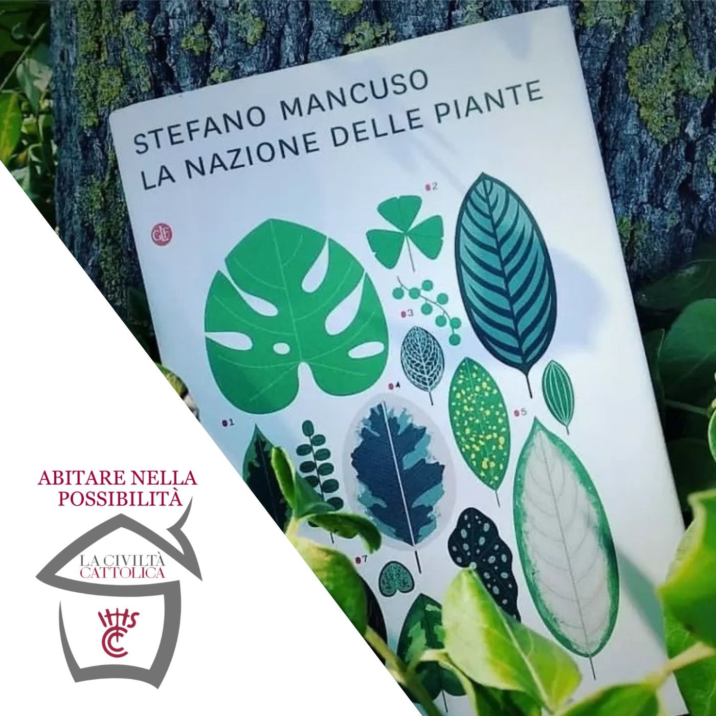 Abitare nella possibilità