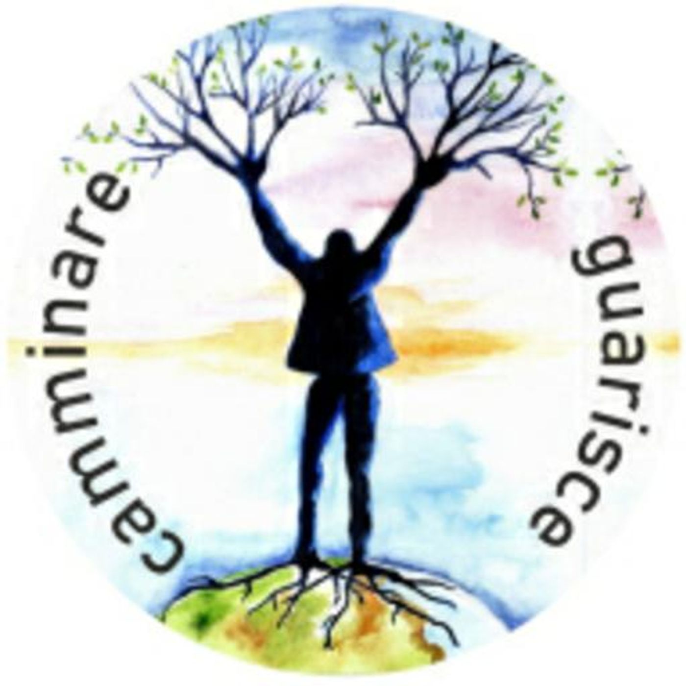 Associazione "Camminare guarisce"