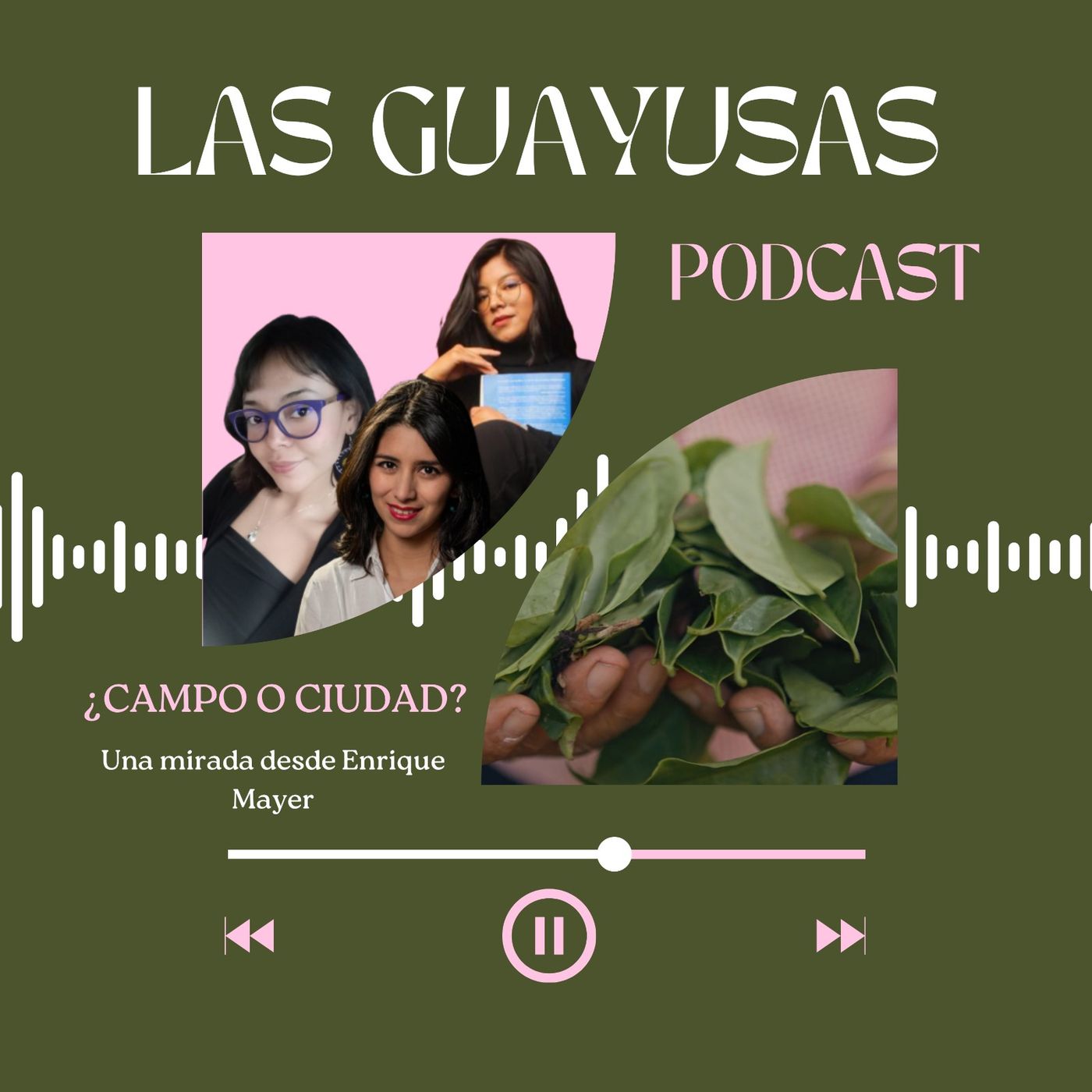 Las Guayusas