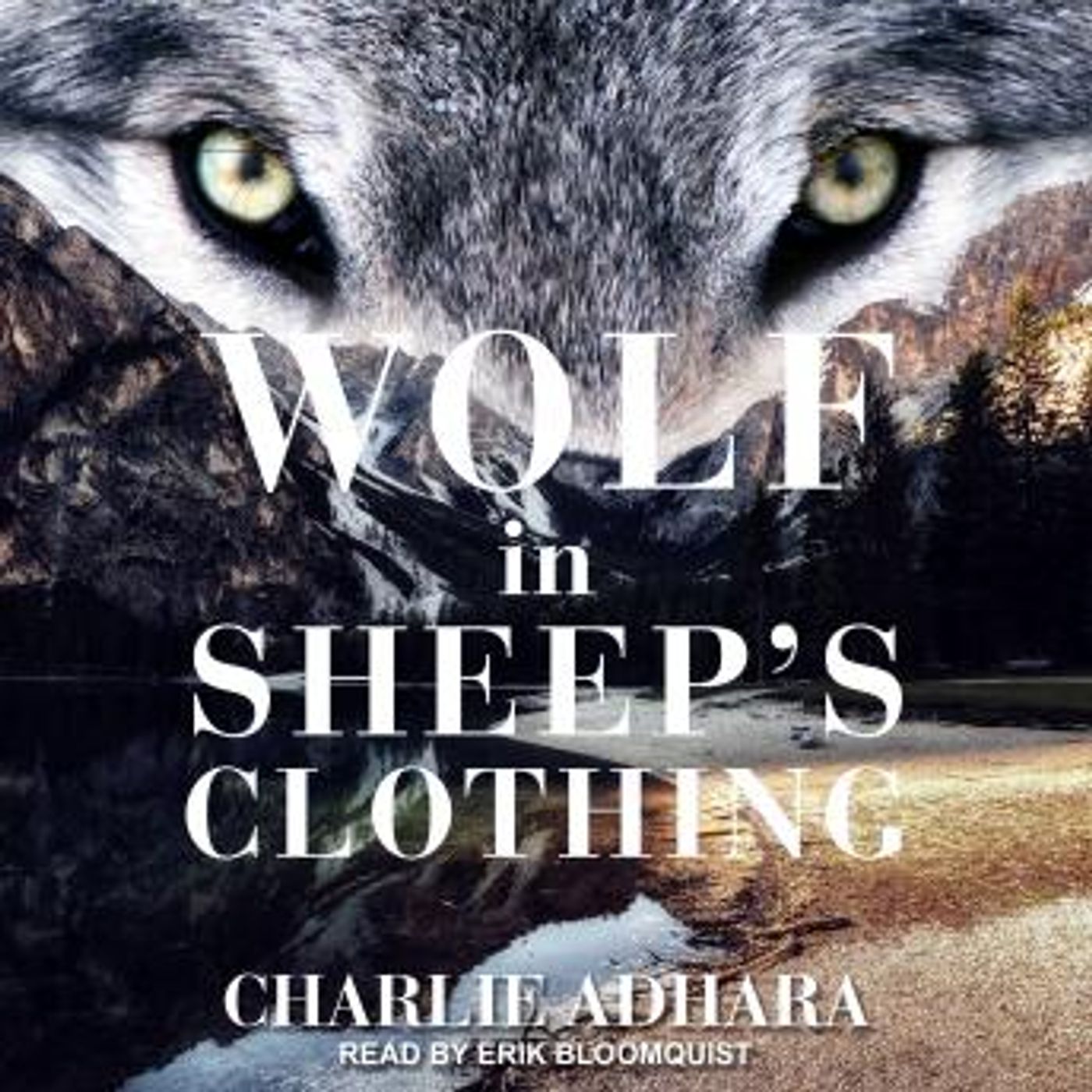Stream Popular Full Audiobooks in Romance, LGBTQ+