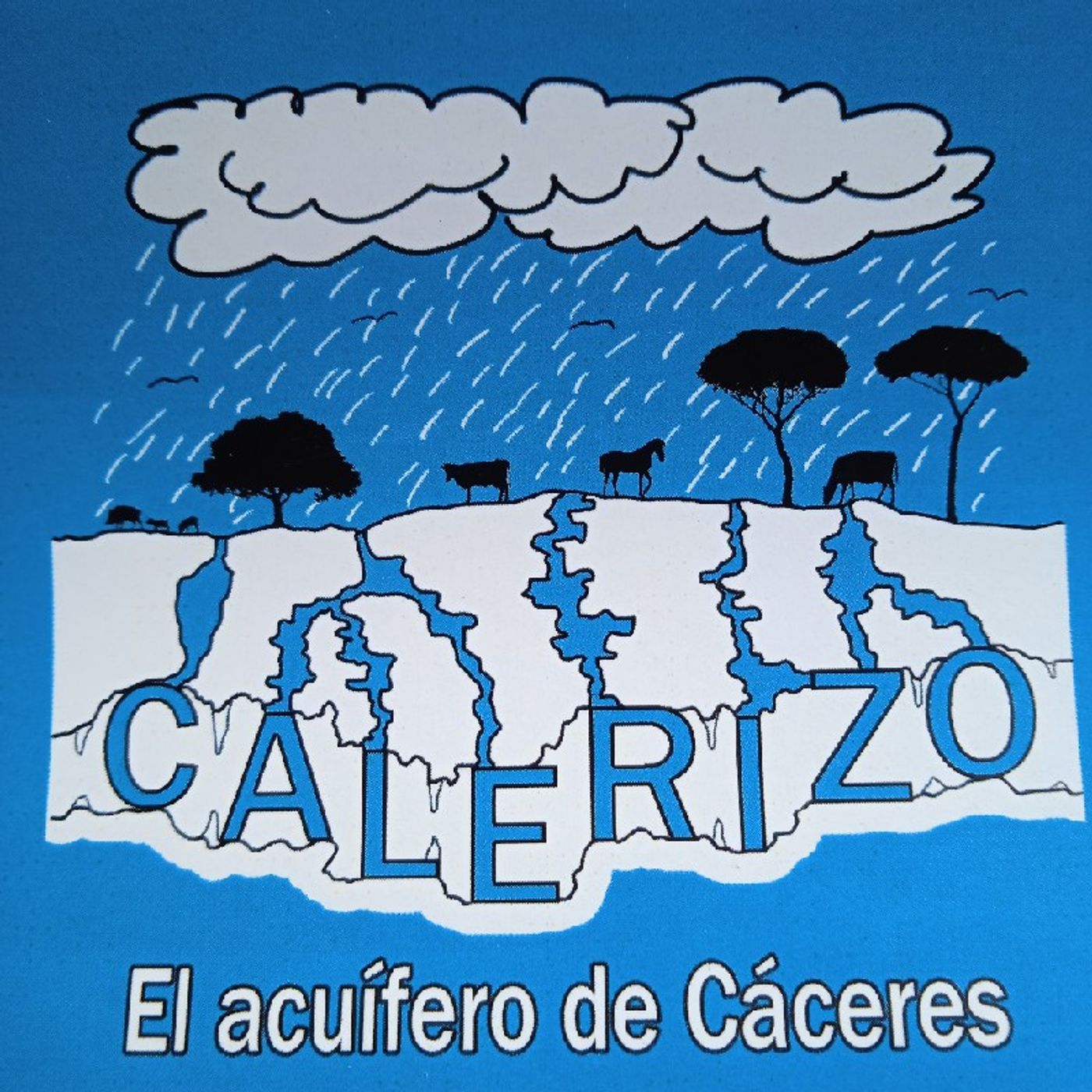 Radio COPETE