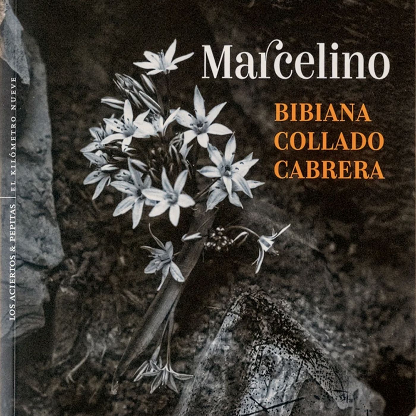 Marcelino, de Bibiana Collado Cabrera episode artwork
