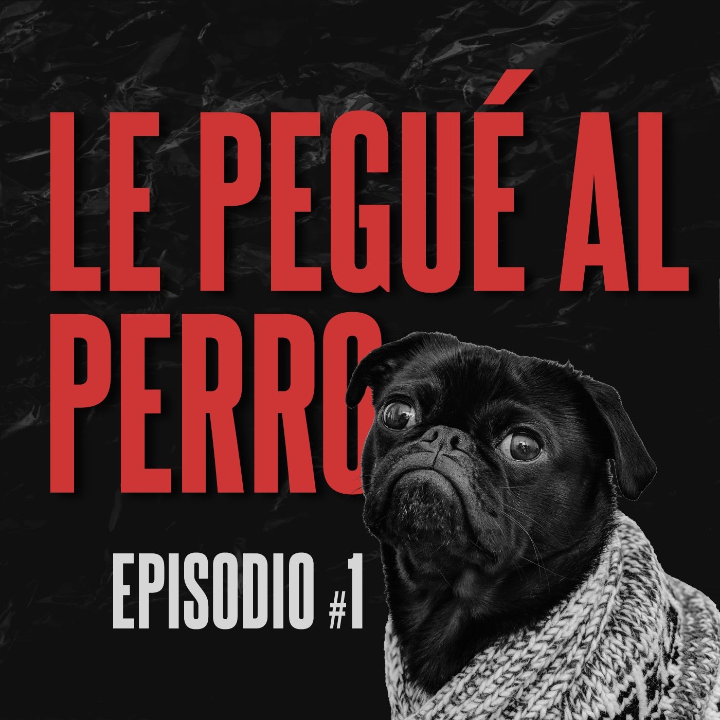 #1. ¡Le pegué al perro! episode artwork