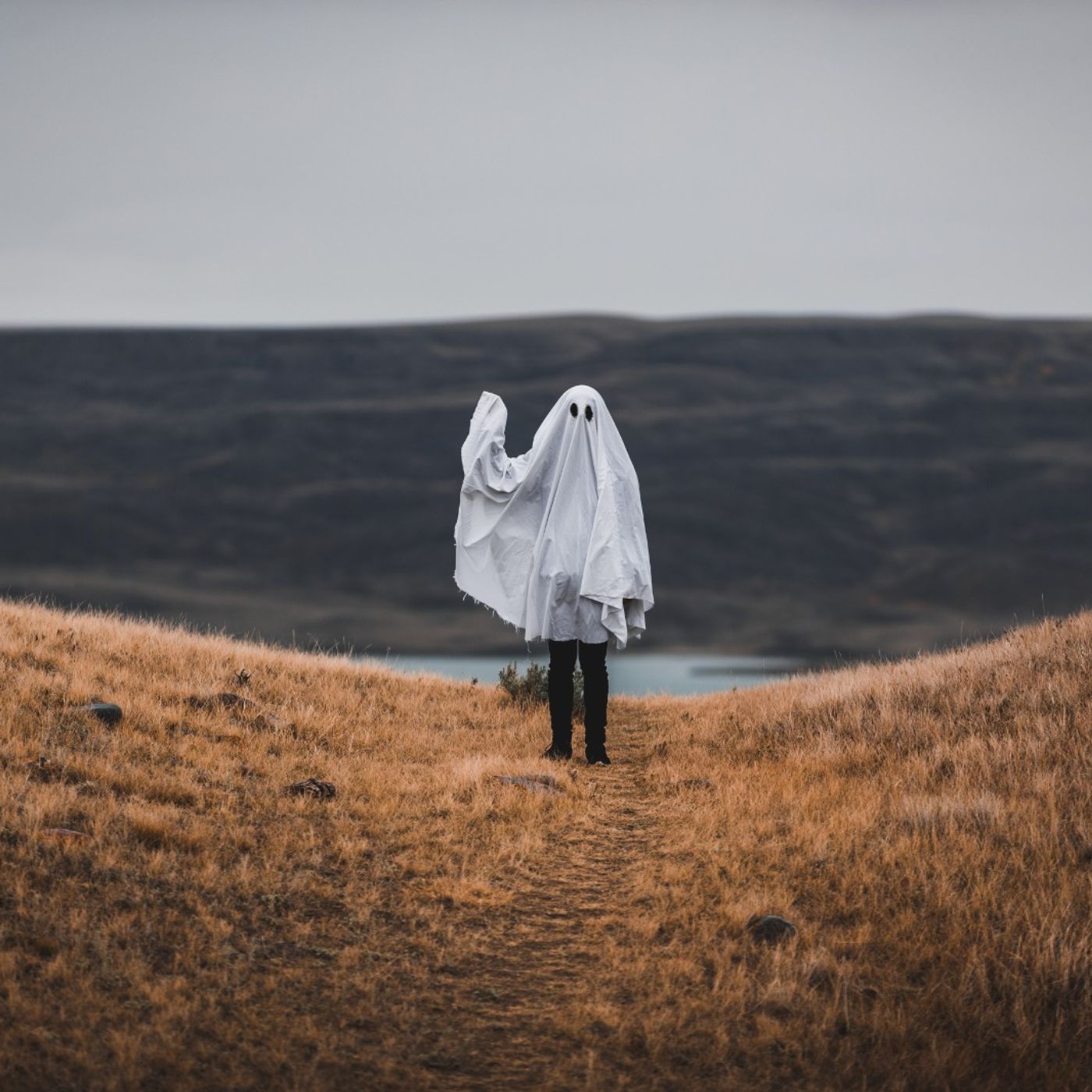 Ghost Track (dei Concerti di Capodanno)