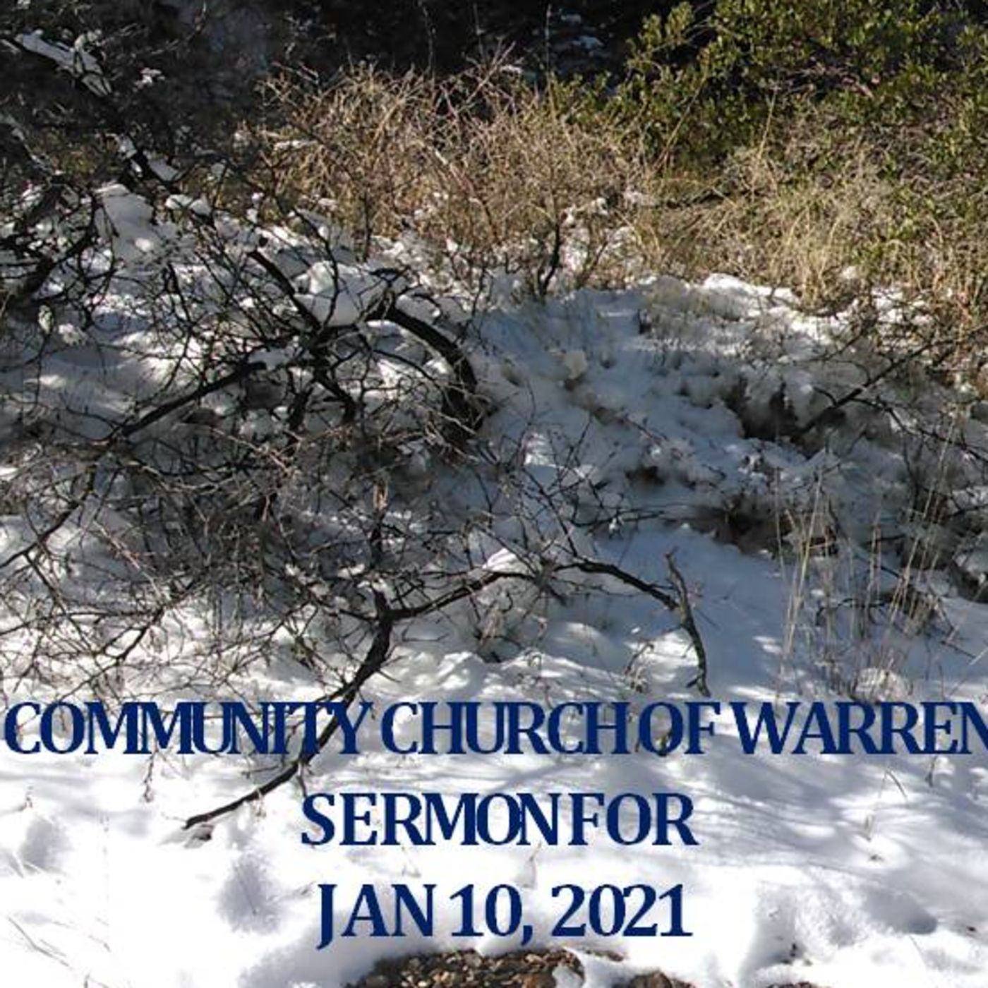 Mule Mountain Messages