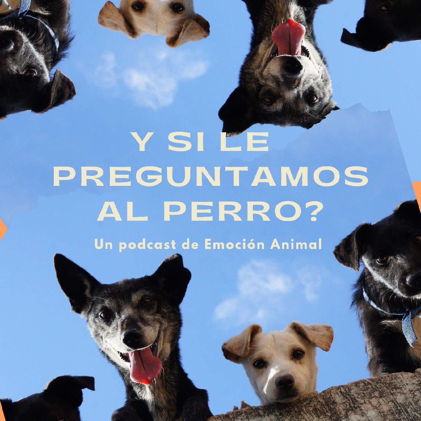 El podcast de Emoción Animal