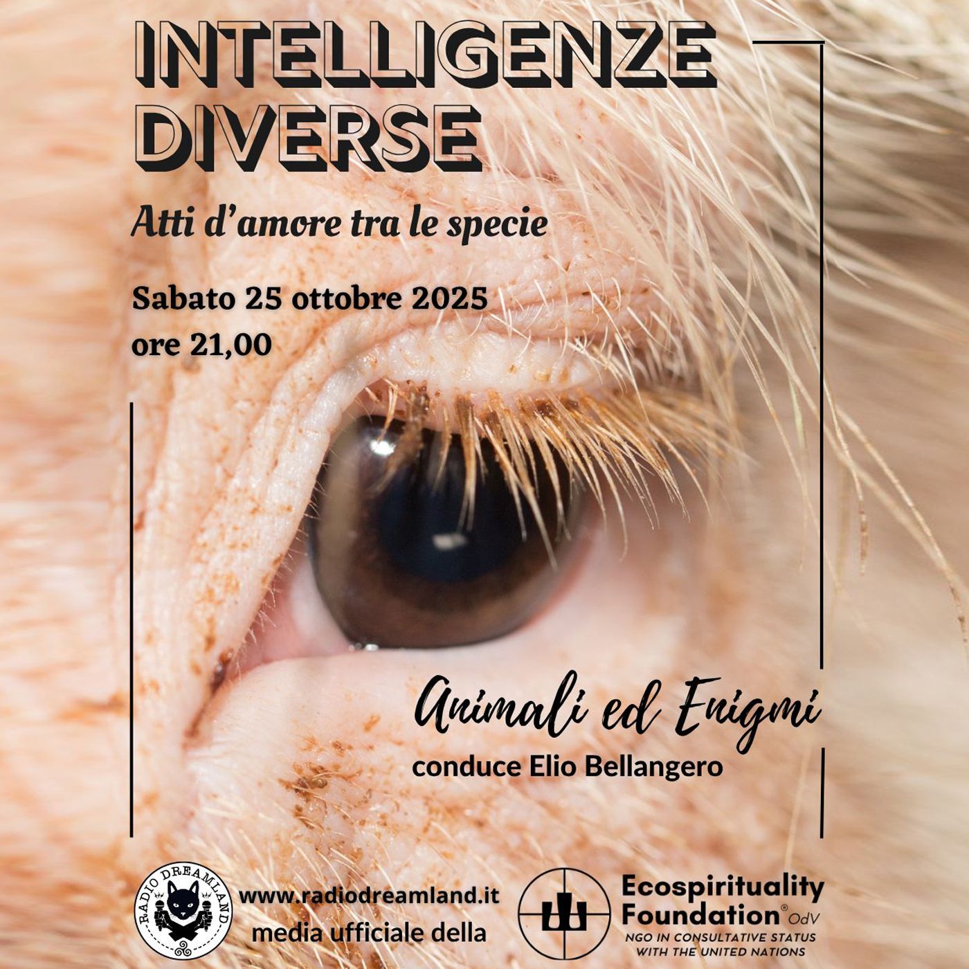 Intelligenze diverse episode artwork