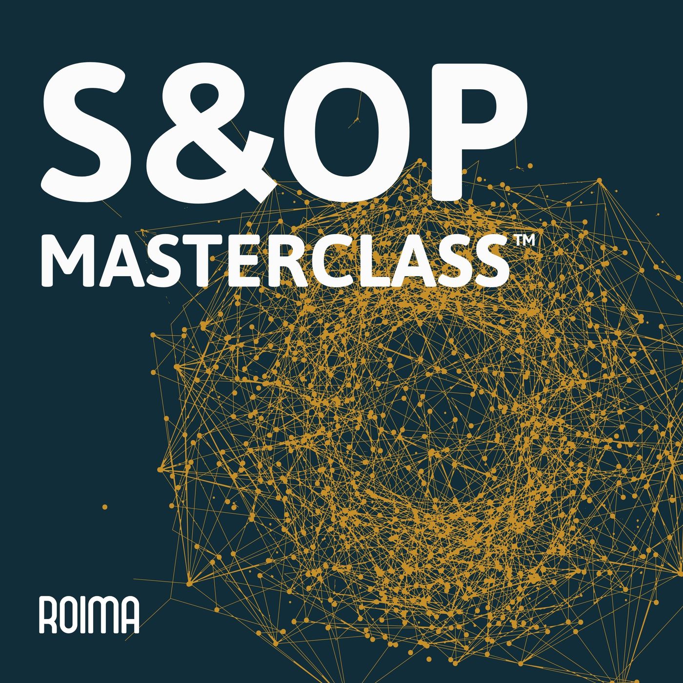 S&OP MasterClass