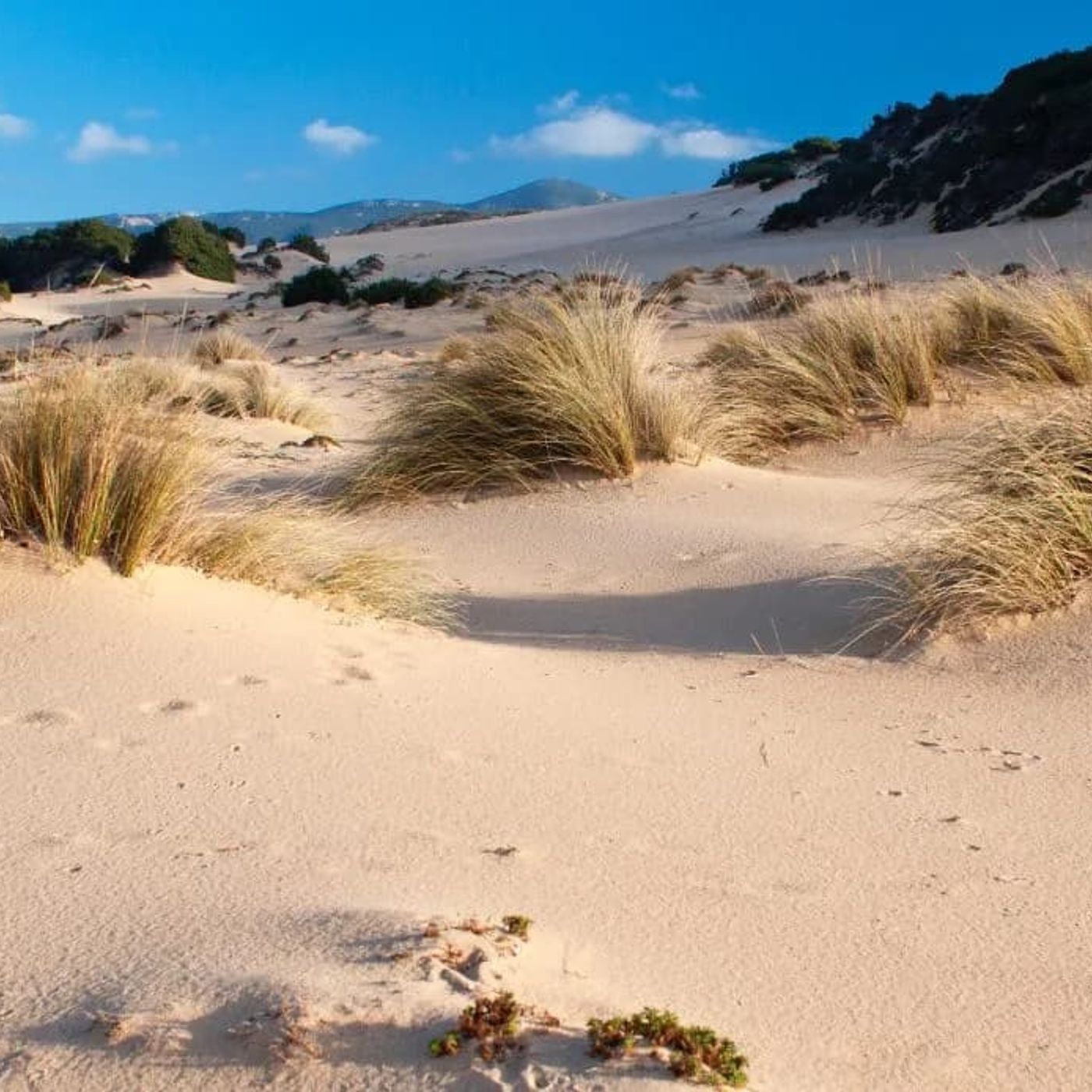 Il deserto dorato della Sardegna: viaggio nelle dune di Piscinas episode artwork