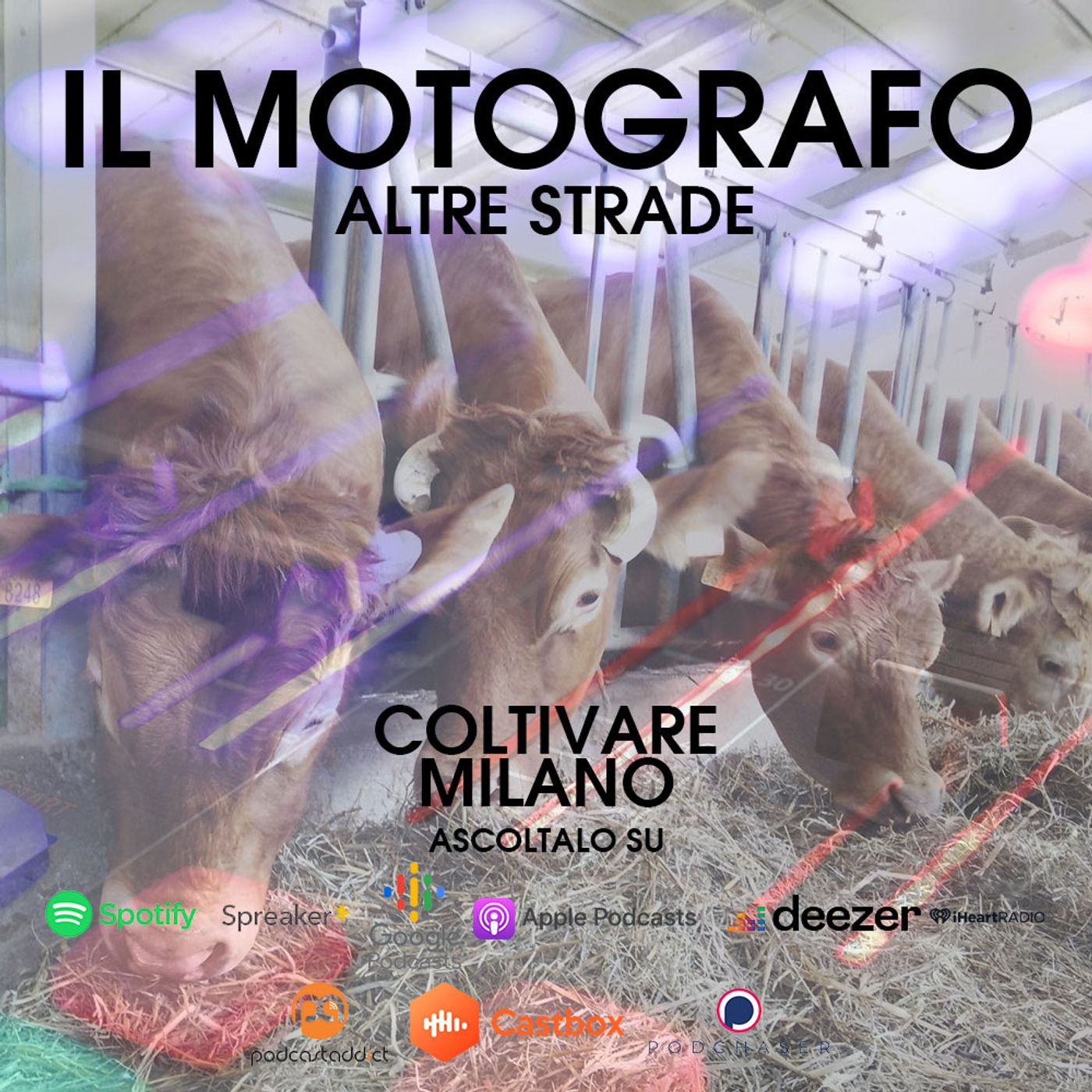 Il Motografo