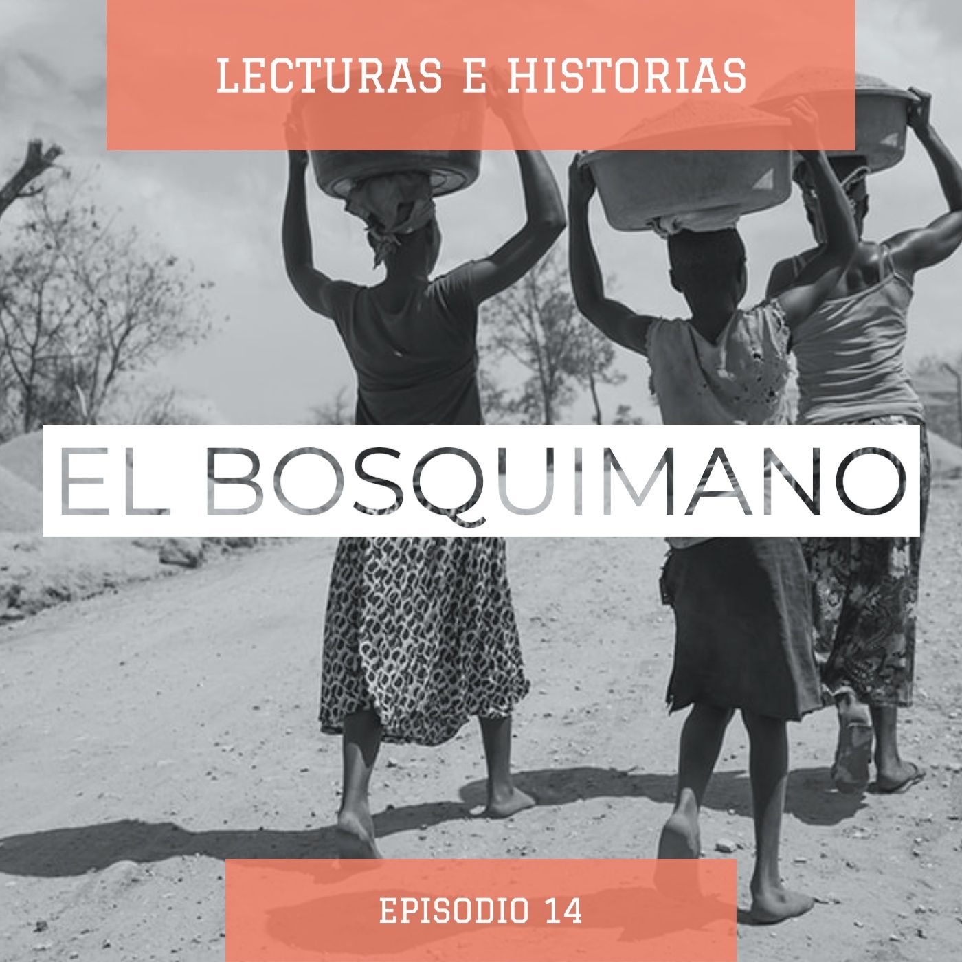 Lecturas e Historias