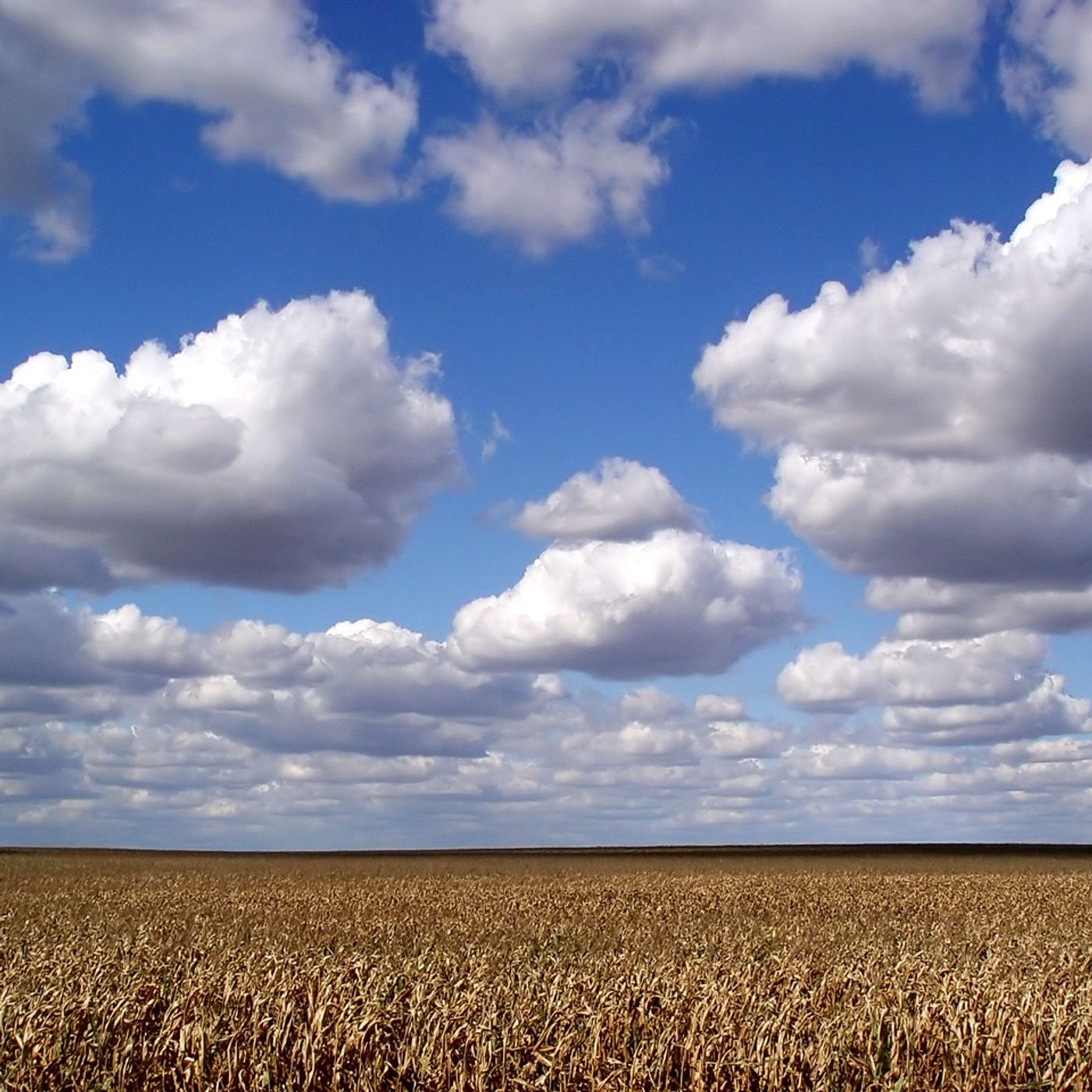 "Clouds"-  A Message From the Sovereign Grand Commander