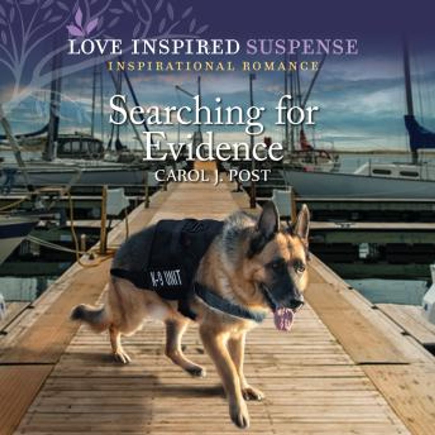 Get New Full Audiobooks in Romance, Clean & Wholesome
