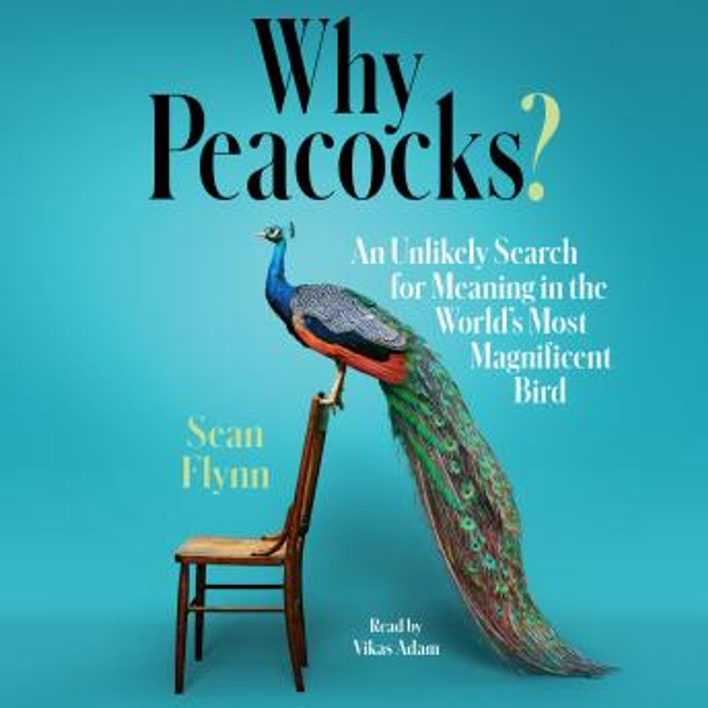 Free Audiobooks in Biography & Memoir, Memoirs