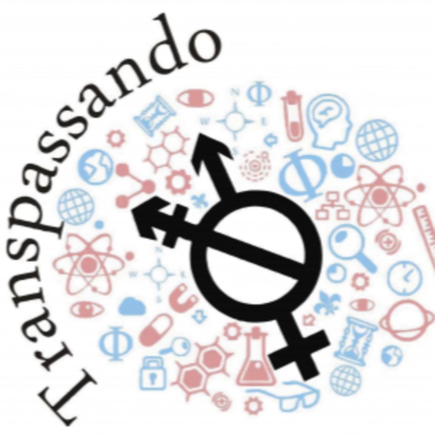 Universitária Entrevista