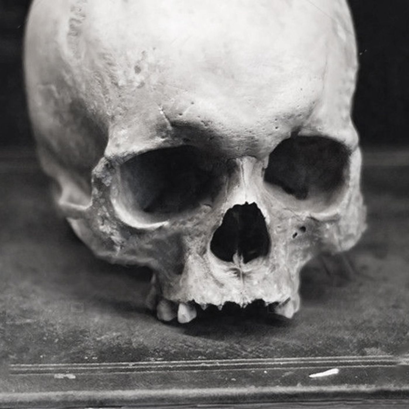 Mi Jefa Es Una Bruja Historias De Terror - REDE