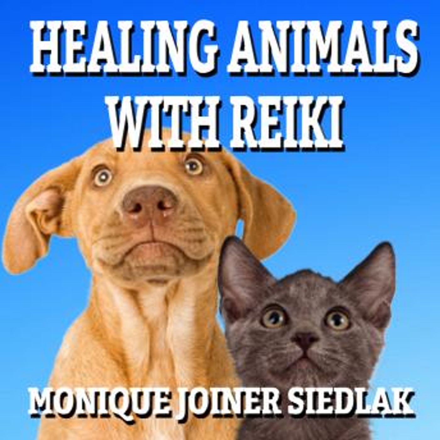 Grab the Top Full Audiobooks in Health & Wellness, Mindfulness & Meditation