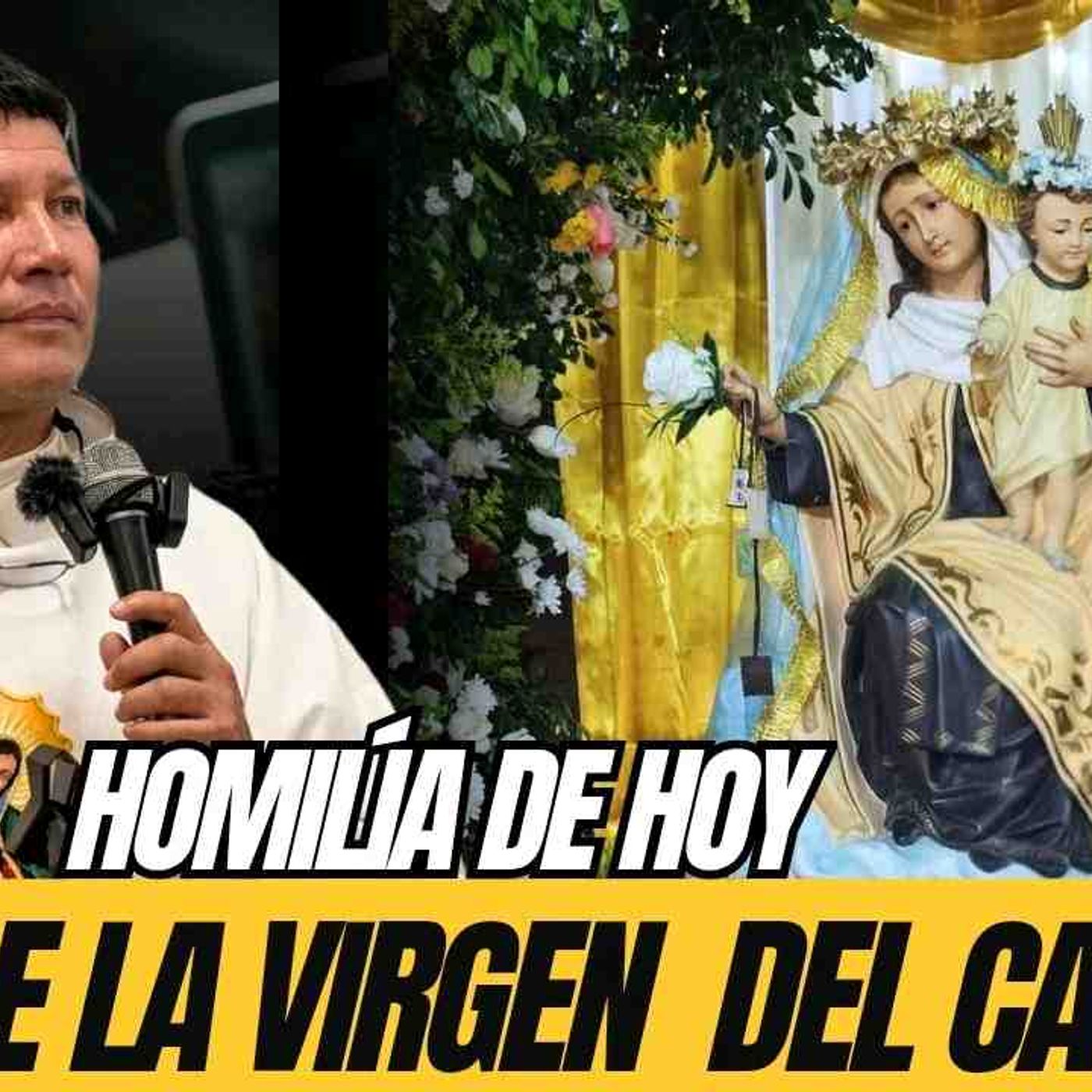 EN VIVO  Día de la VIRGEN DEL CARMEN HOMILÍA DE HOY PADRE LUIS TORO episode artwork
