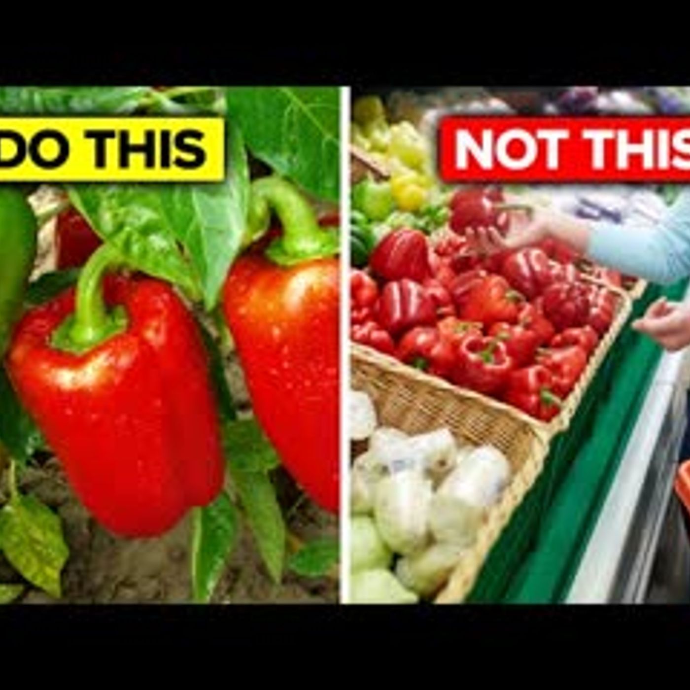 13 Health Benefits Of Growing Your Own Food episode artwork